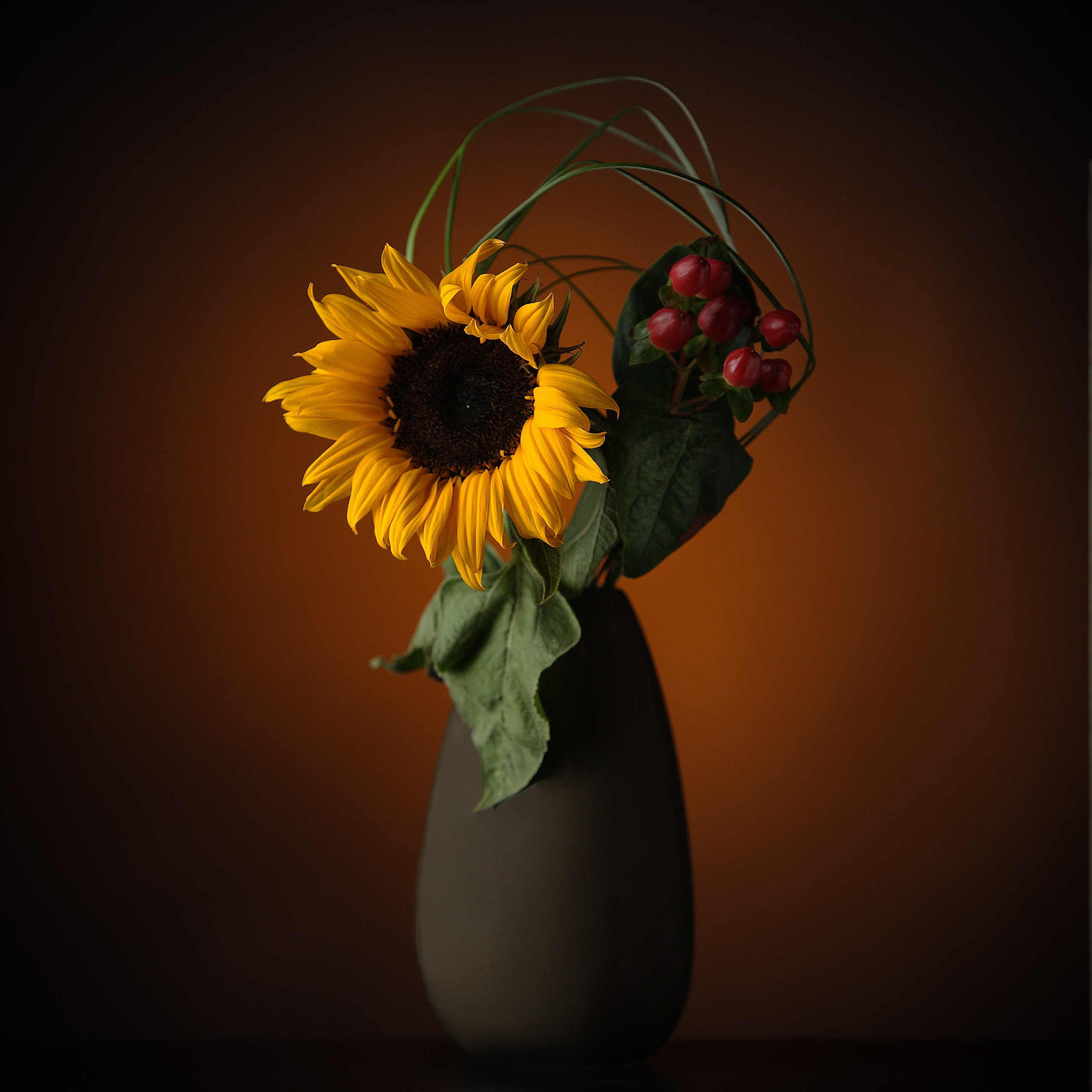 Цветы. Фотограф Мария Кольцова