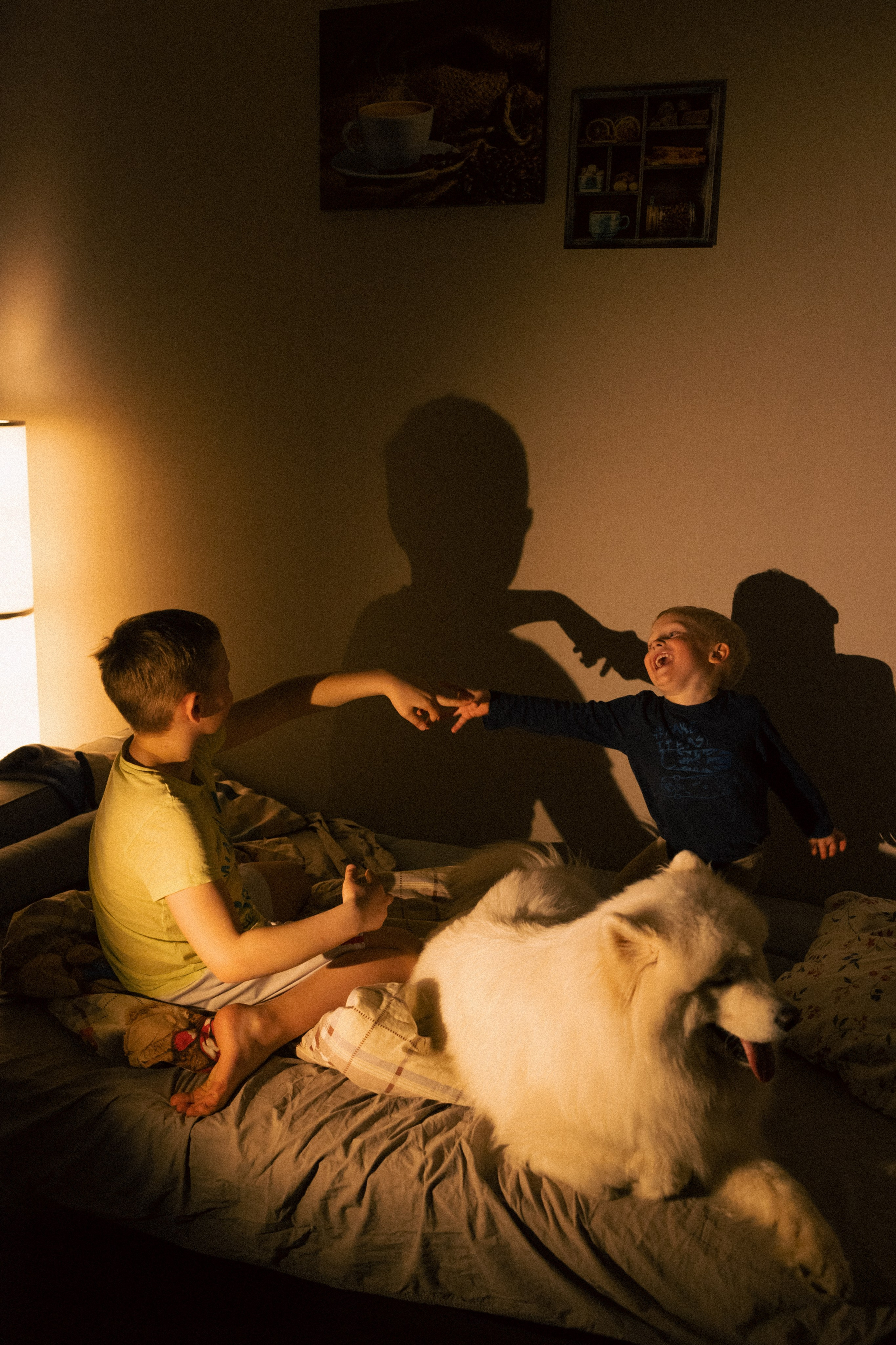 Мальчишки. Фотограф анималист в Москве Майорова Евгения