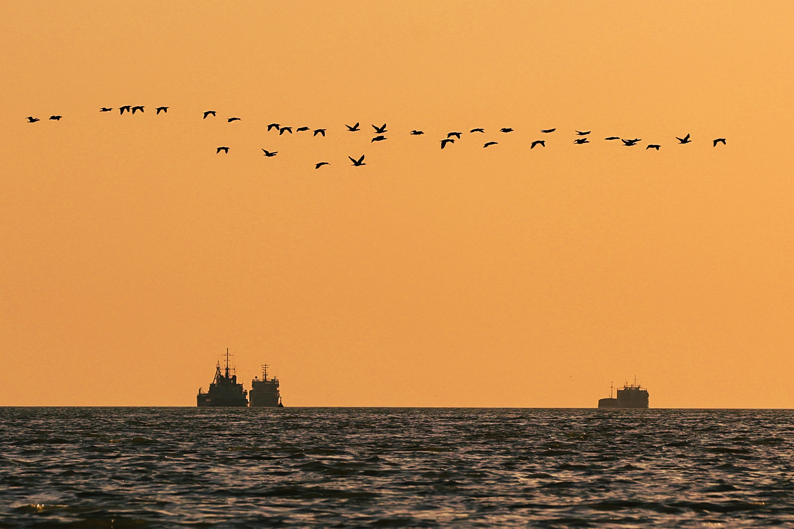 События, происшествия, повседневная жизнь. Роман Наумов профессиональный фотограф