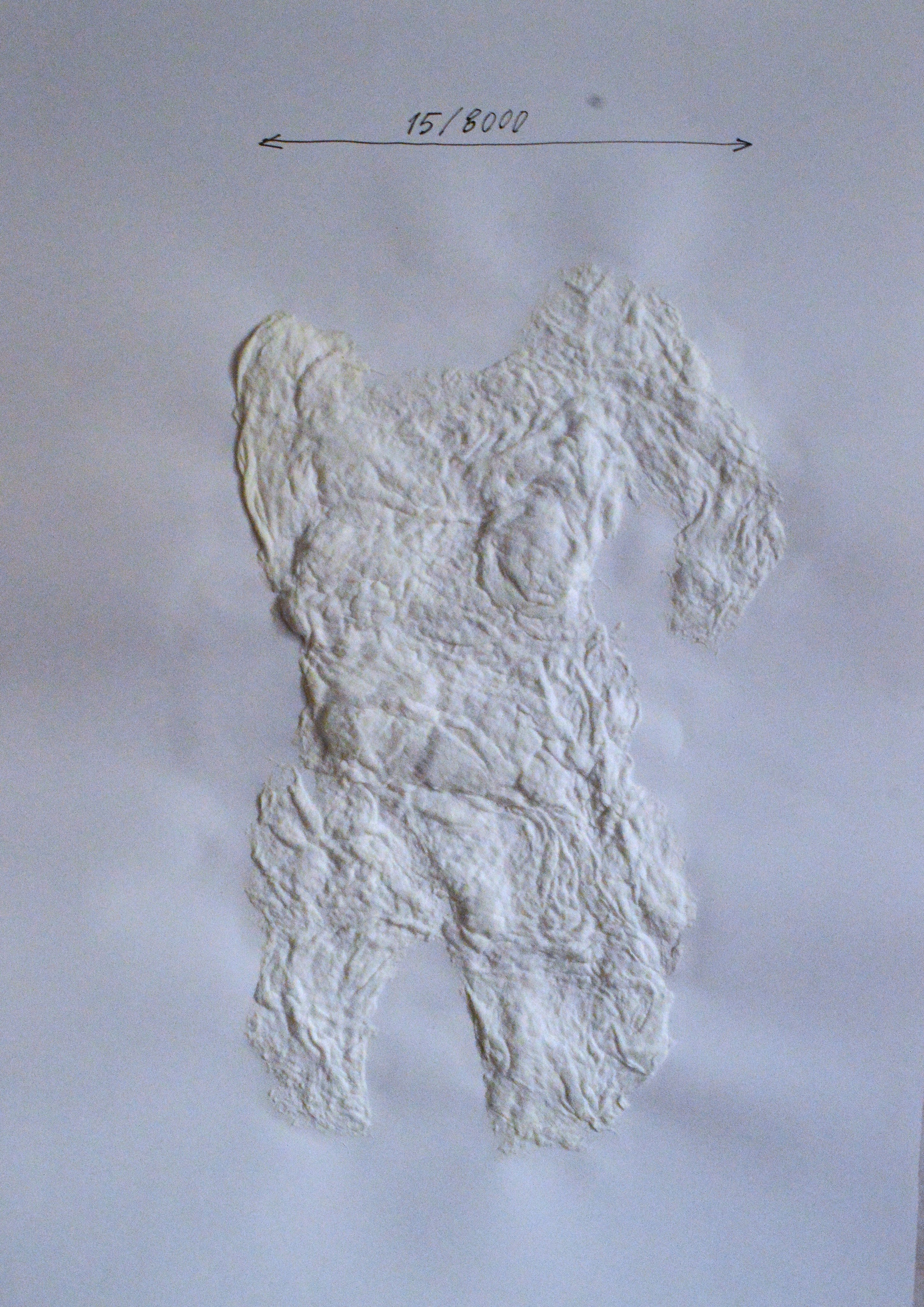 «8000 женщин» 2025. Лилия Ким. Междисциплинарный художник