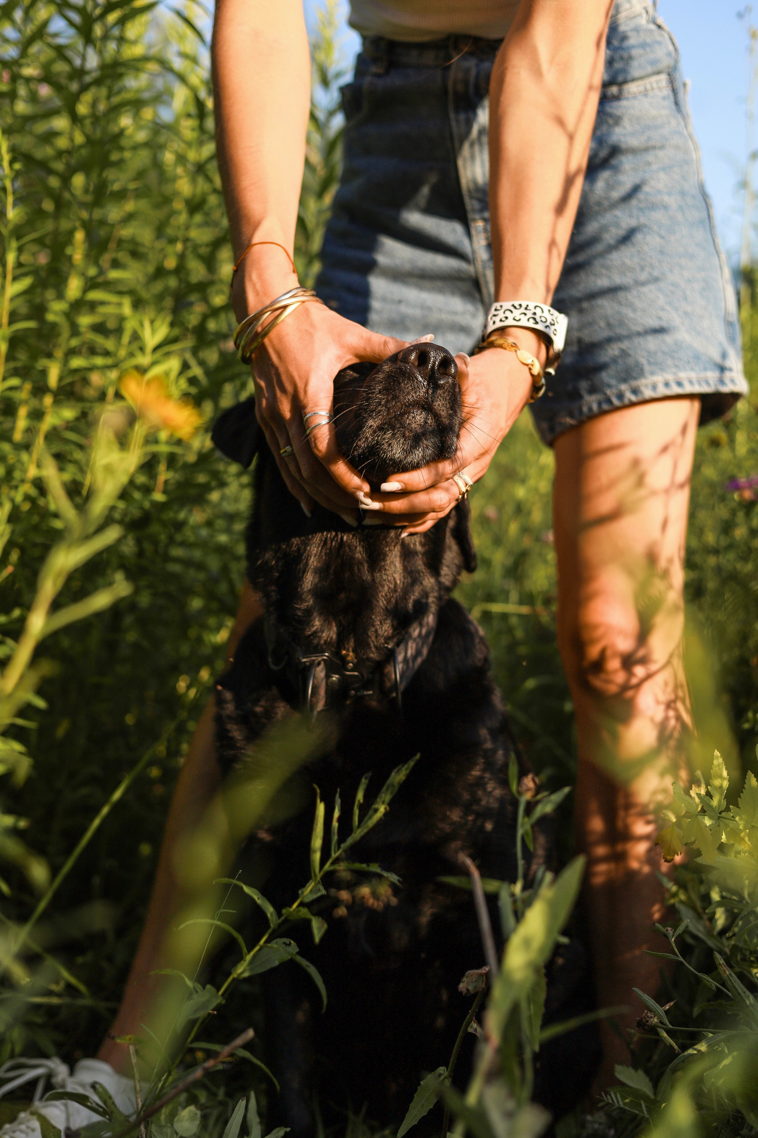 Бонни, Лея и Лера. Фотограф-анималист Ксения Шевцова|Москва