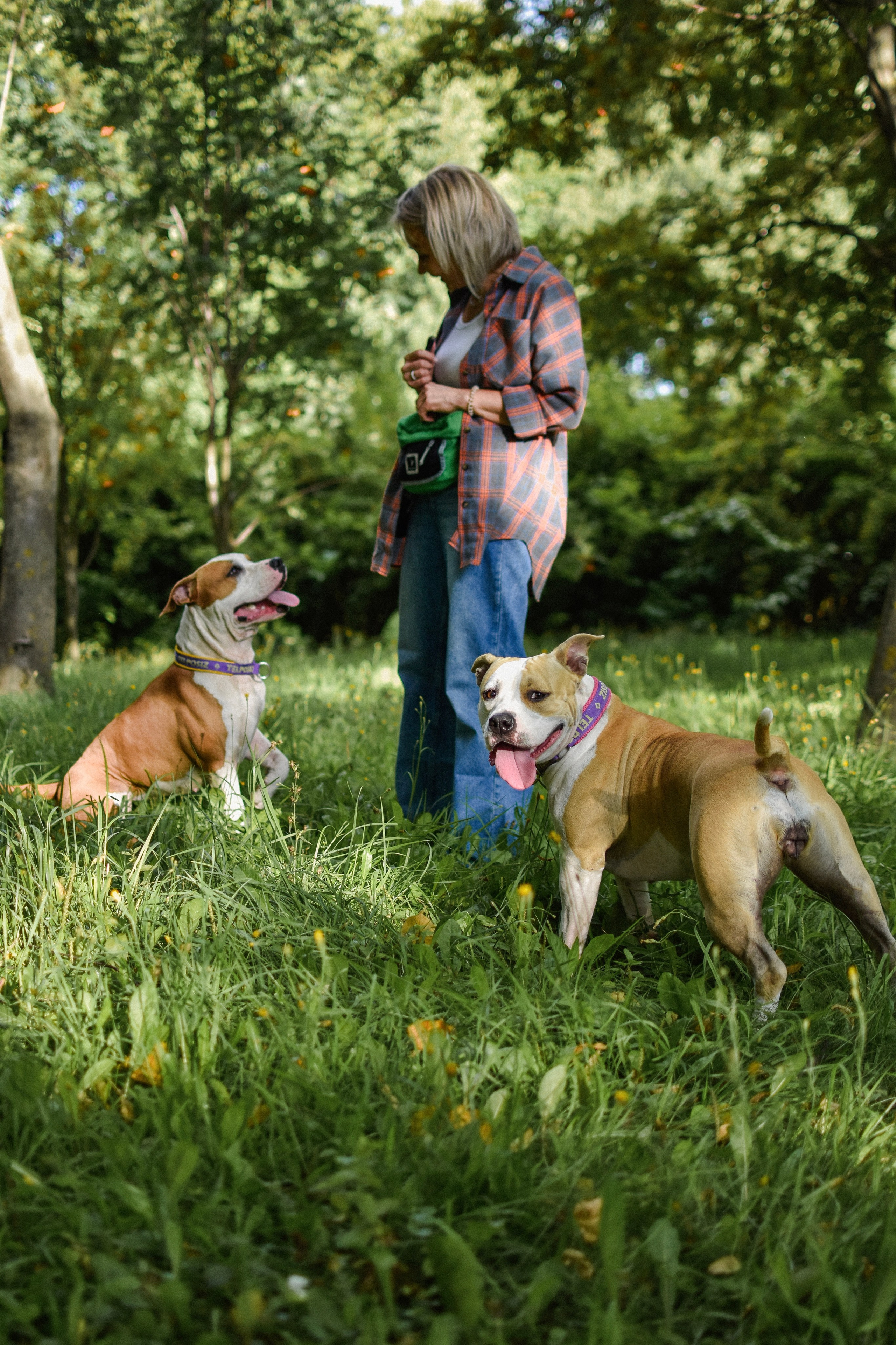 Стив, Стеша и Маша. Фотограф-анималист Ксения Шевцова|Москва