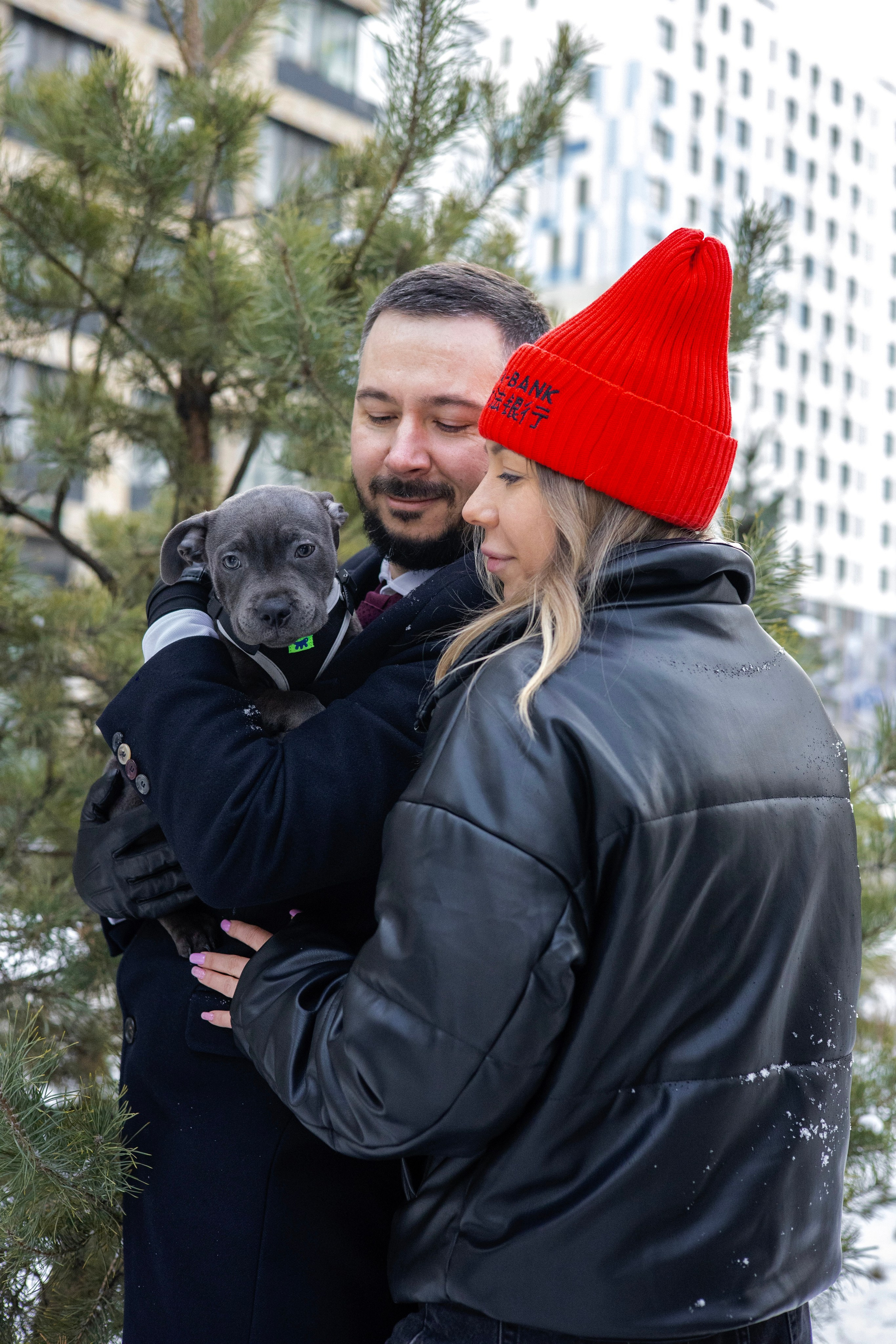 Дарси, Тимур и Юля. Фотограф-анималист Ксения Шевцова|Москва