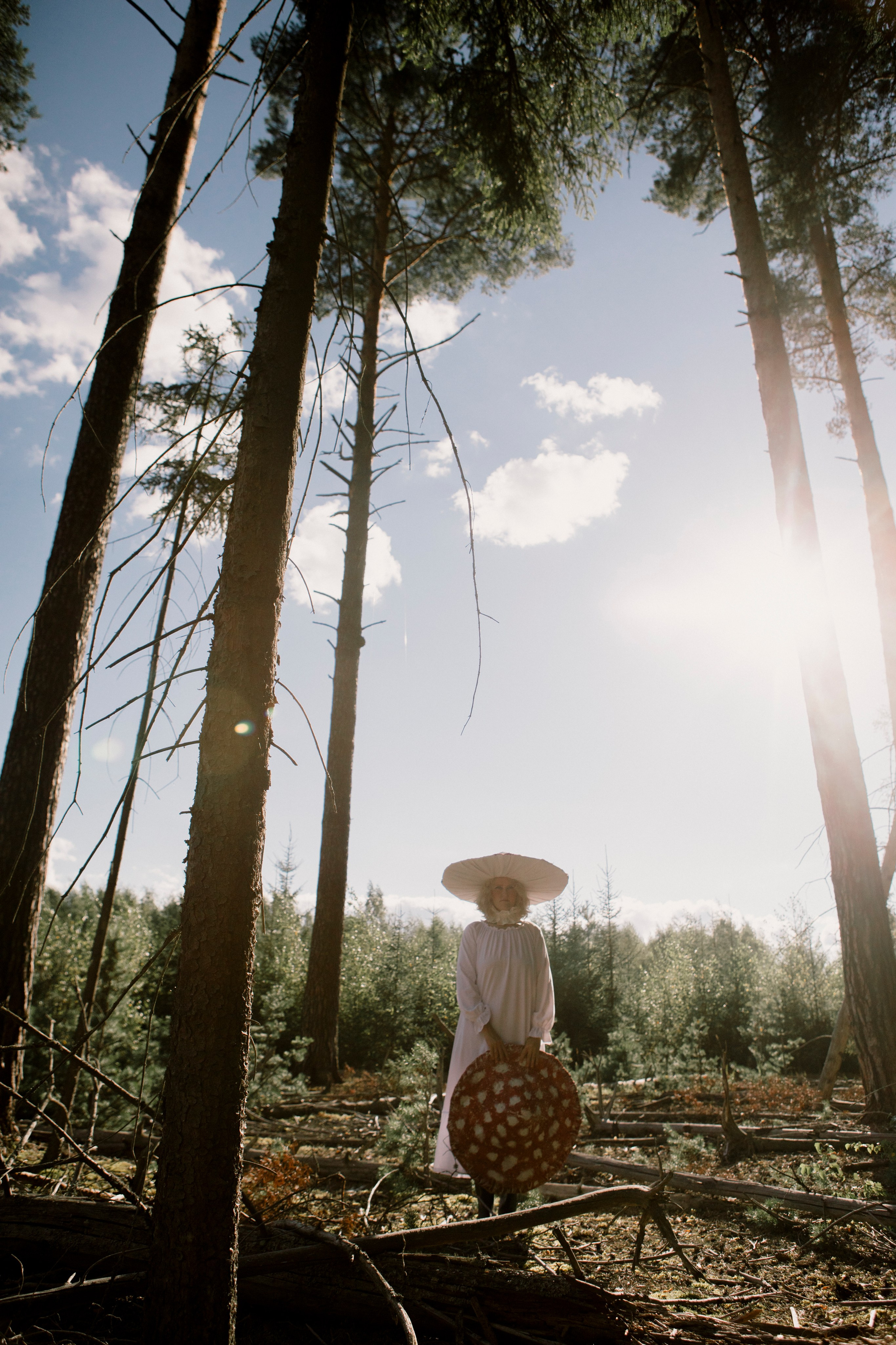 Грибы. Ольга Пилант. АРТ, бэкстейдж, свадебная и семейная фотография, городской портрет, интерьерная фотография