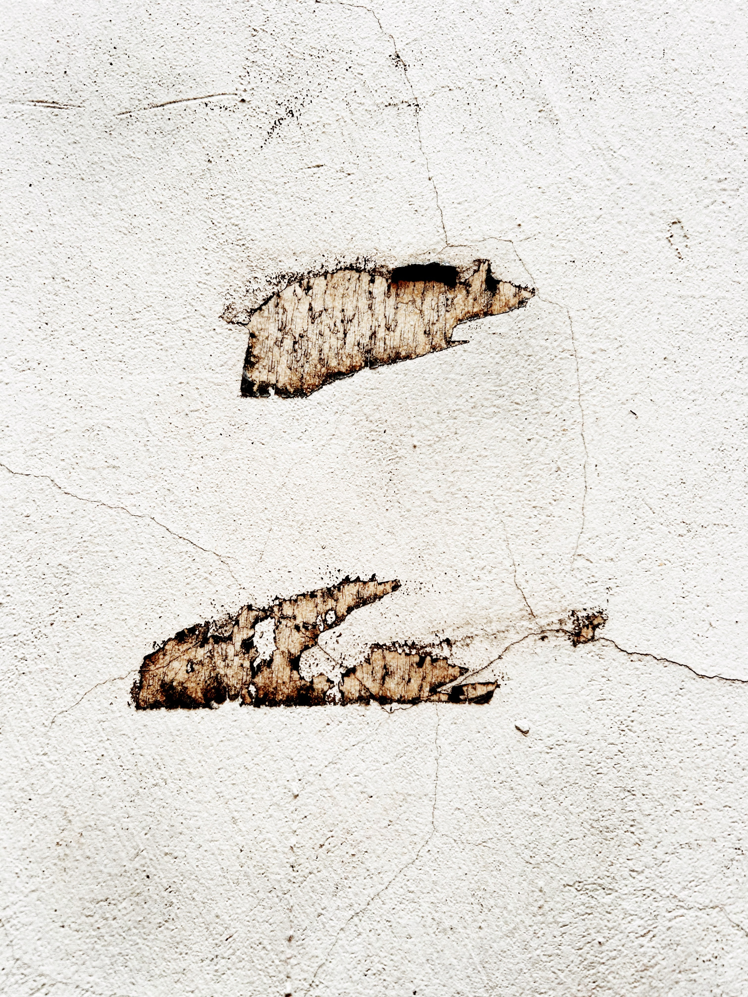 «Вижу». Ольга Пилант. АРТ, бэкстейдж, свадебная и семейная фотография, городской портрет, интерьерная фотография