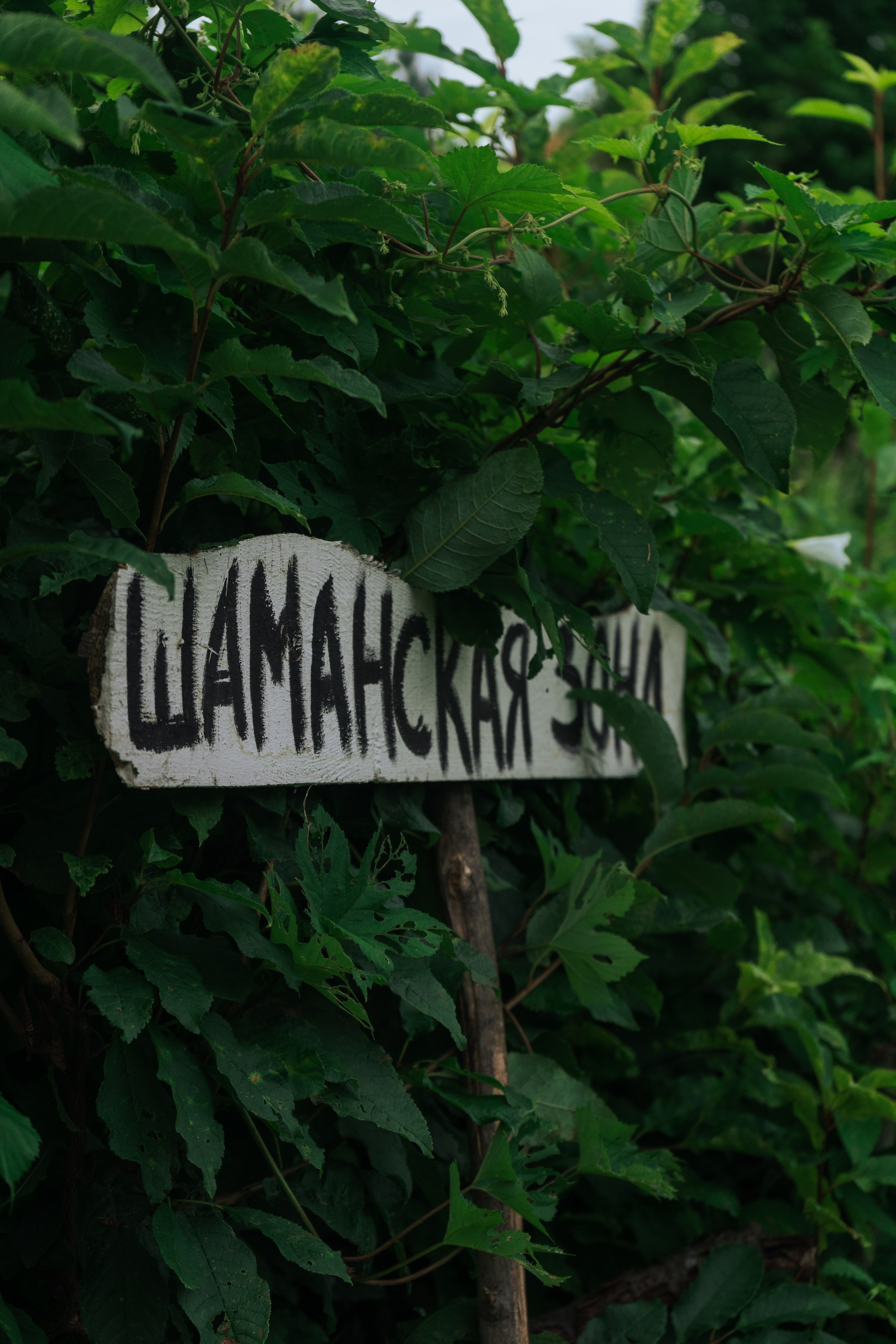 Ретрит от т-центра Псайторий 2024. Портретный фотограф Нижний Новгород