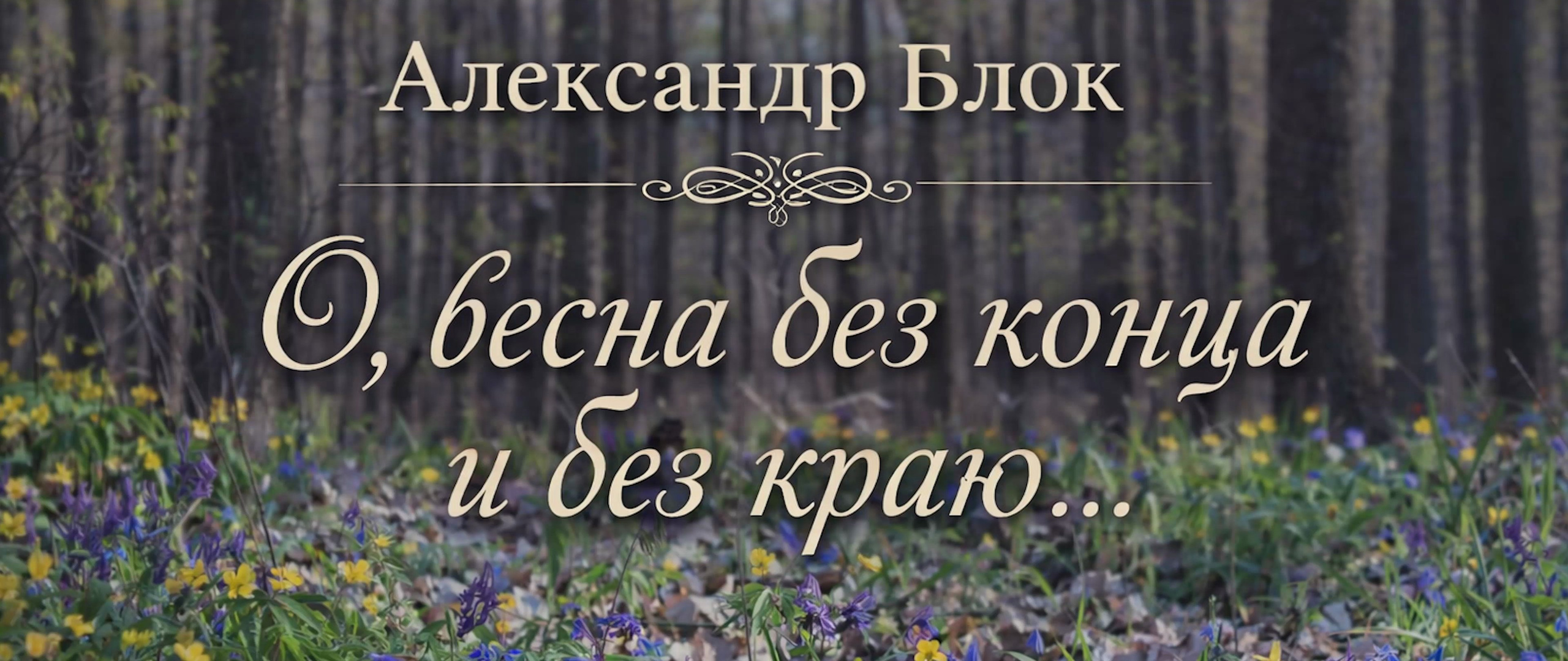 Руслан Шувалов (поэтограф)