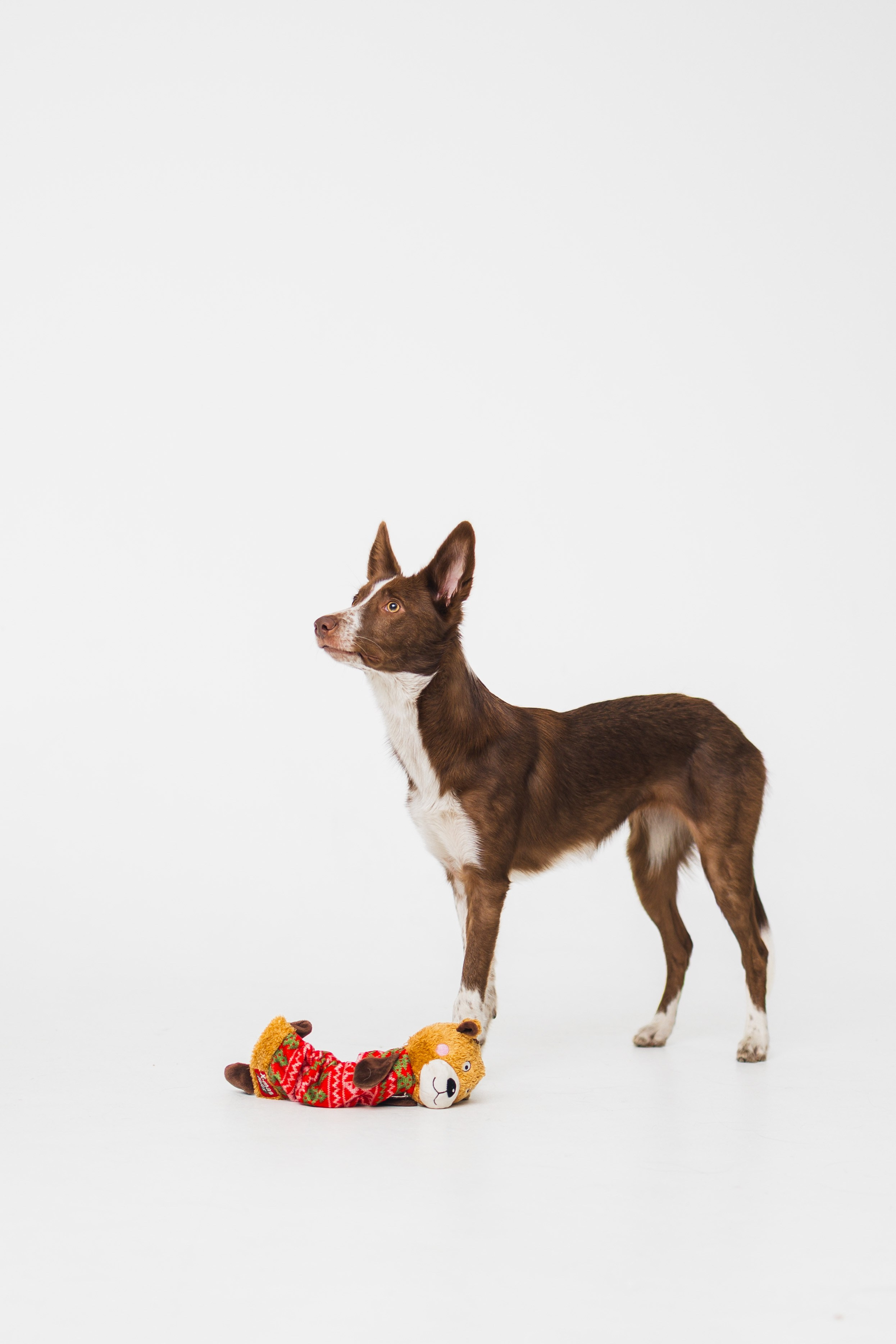 Воркшоп по импульсному свету