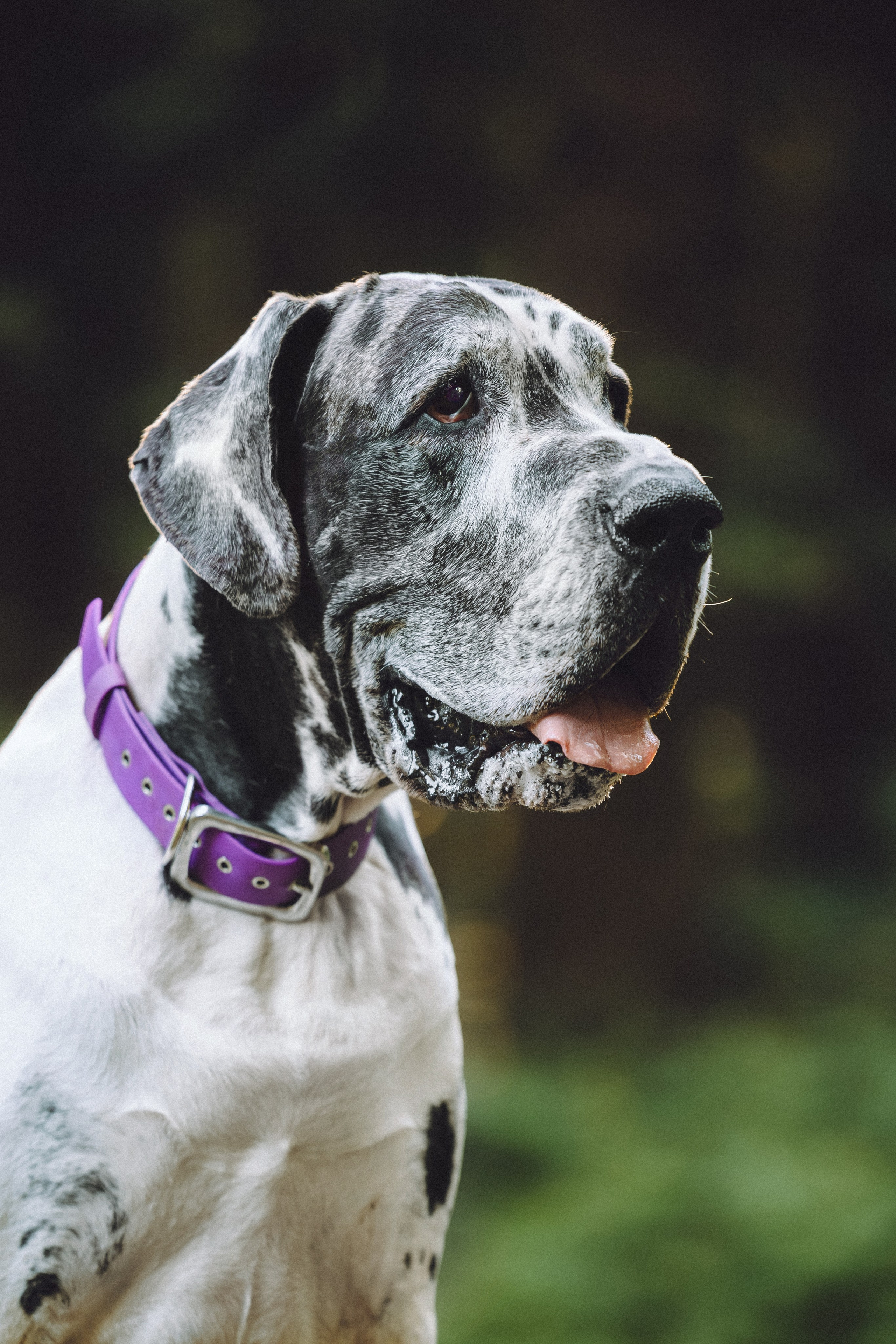 Катя, Андрей, Гектор, Ричи, Тортик и Трой