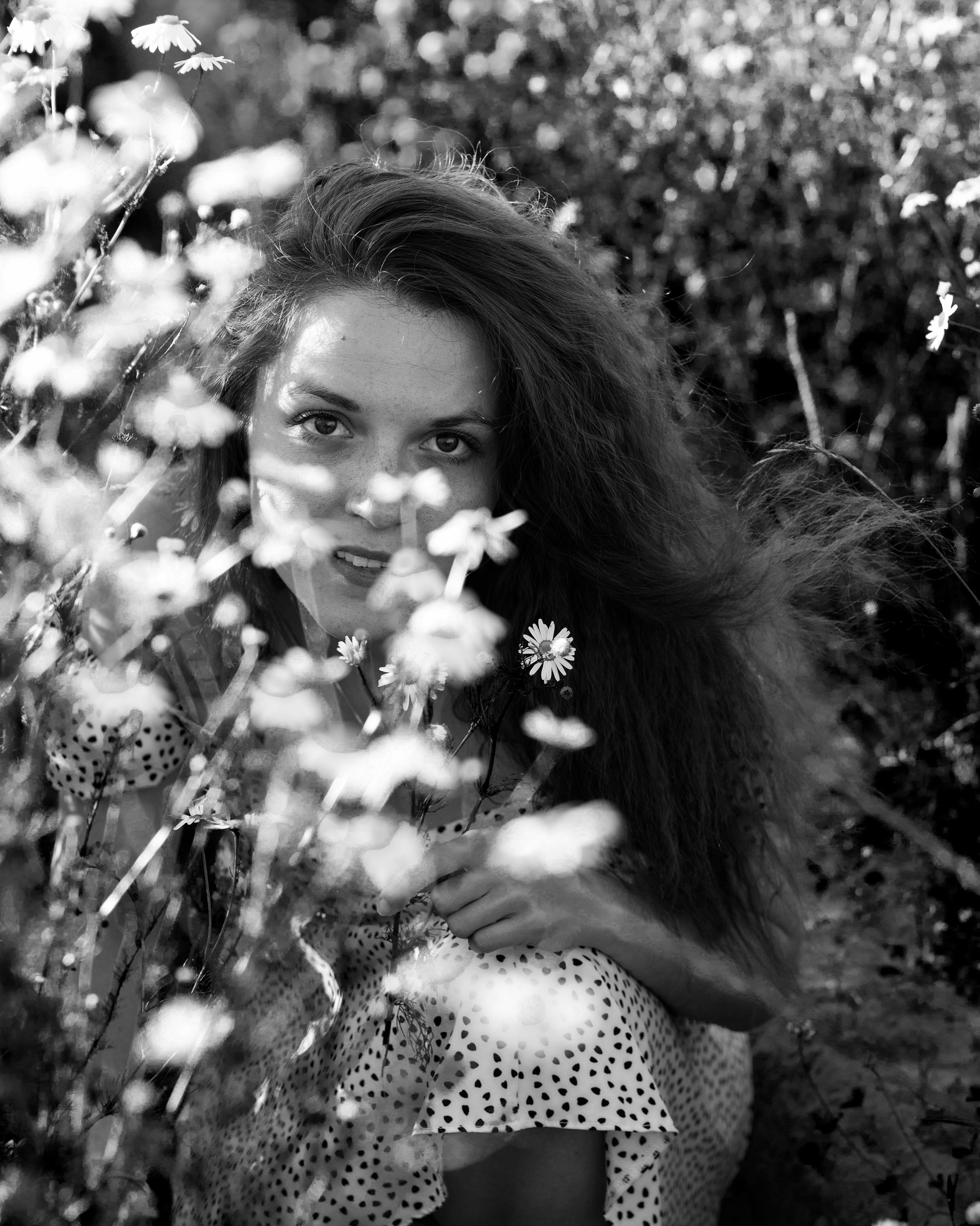 ЧБ ромашки. Портретный фотограф Екатерина Лысенко, Москва