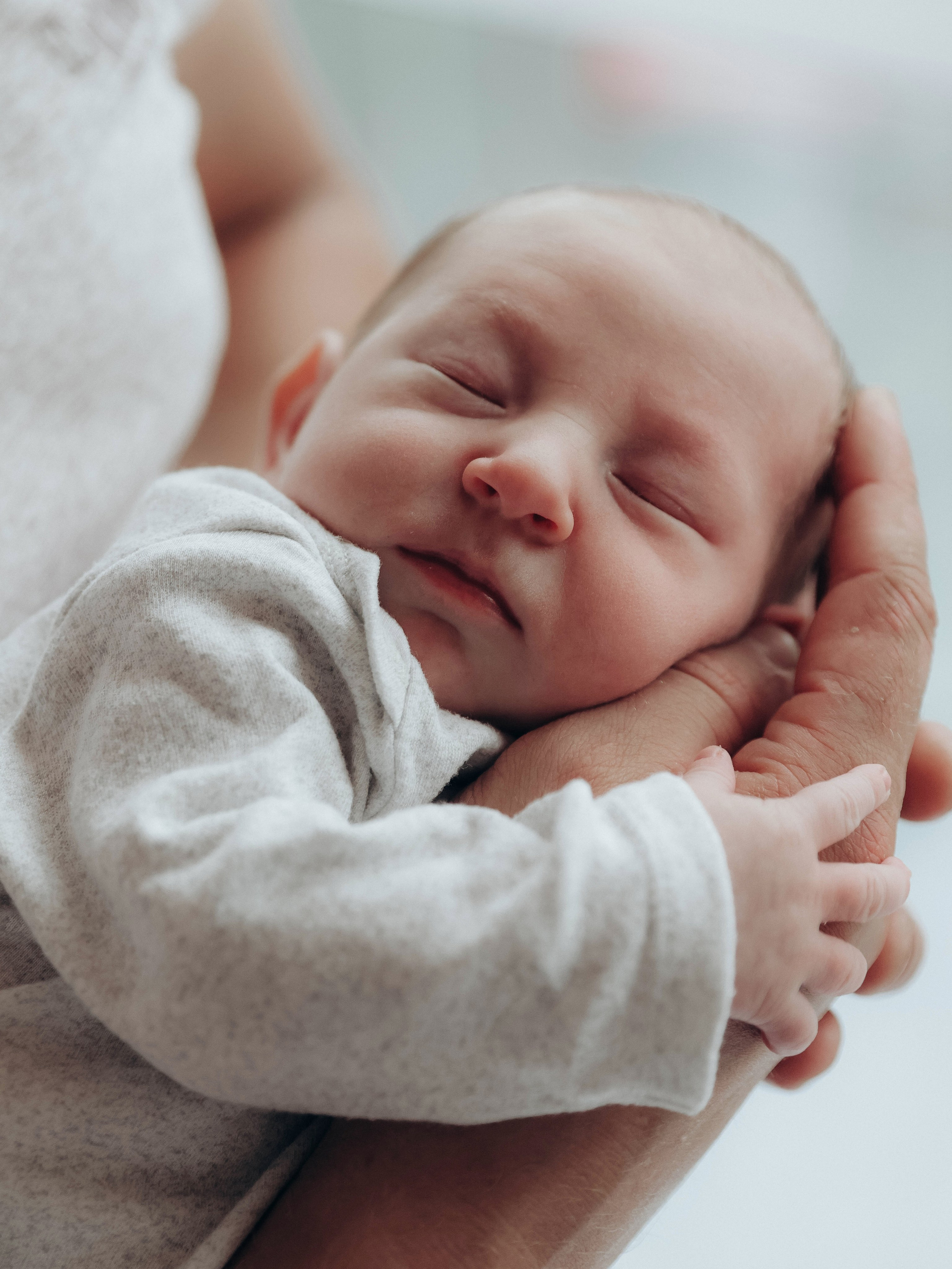 Любовь и котики. Мультифотограф Динара Ахмедзянова