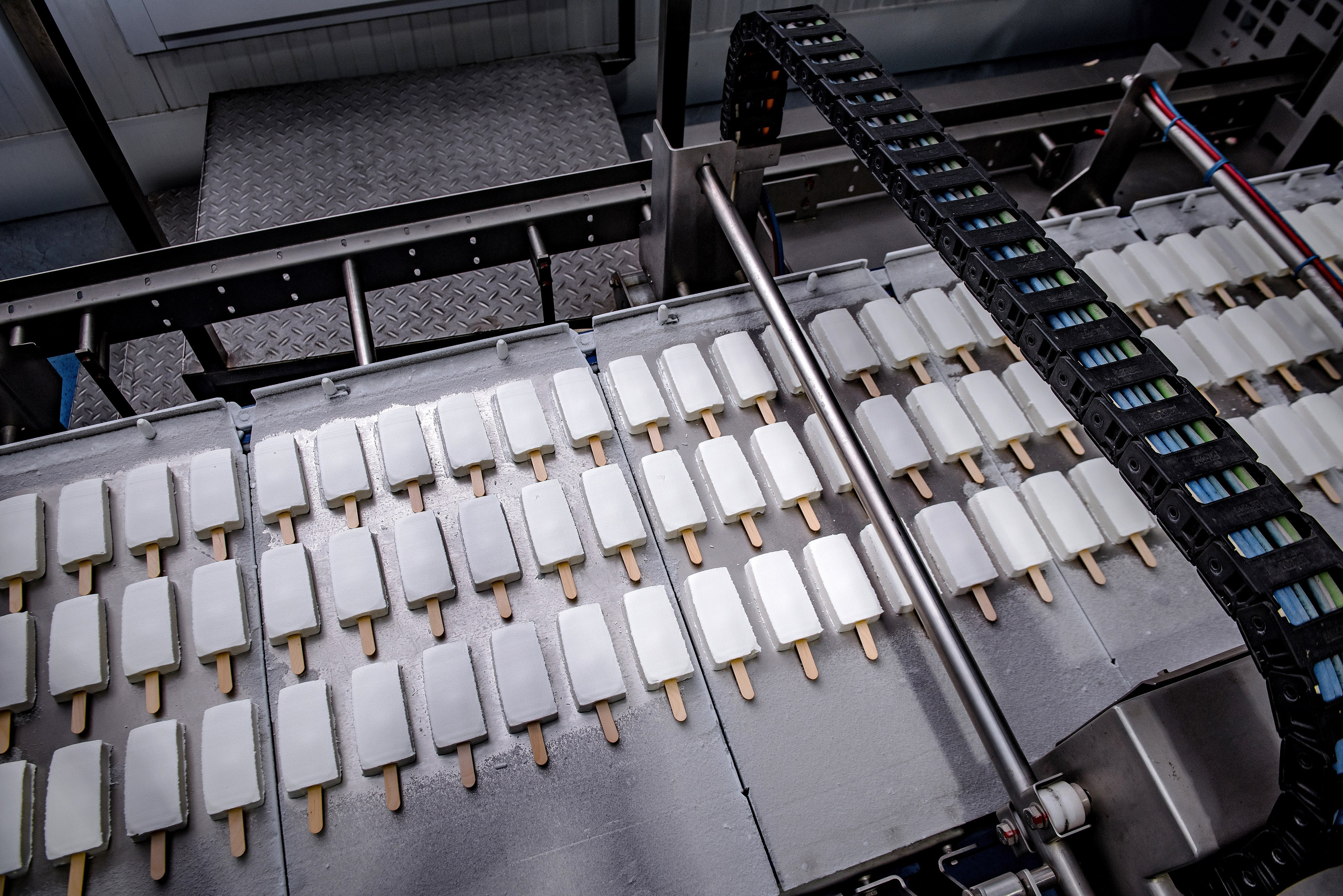 Презентации. Открытия. Елена Северина фотограф, Алматы: репортаж (спорт, концерты, конференции), предметная и фуд-съёмка, портреты, каталоги, фэшн, ретушь