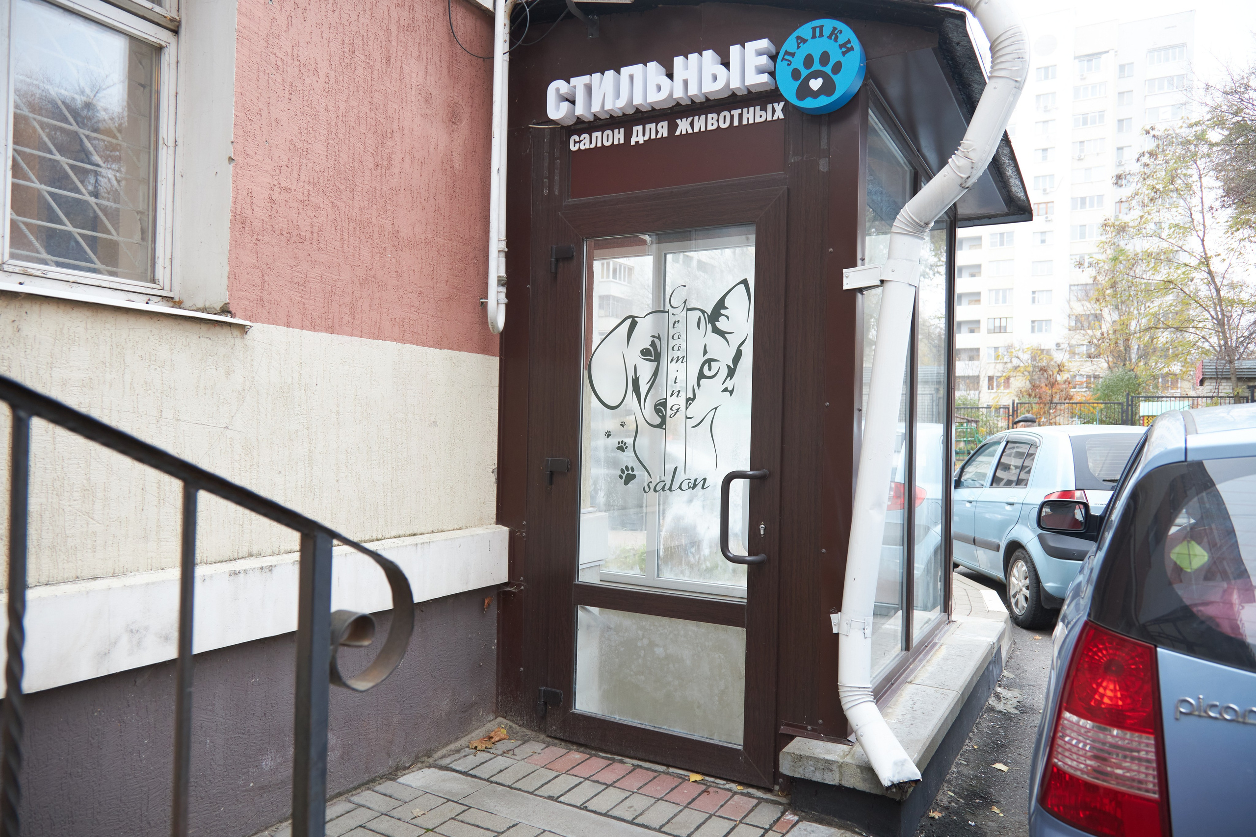 Груминг салон «Стильные лапки». Фотограф Сергей Феденко