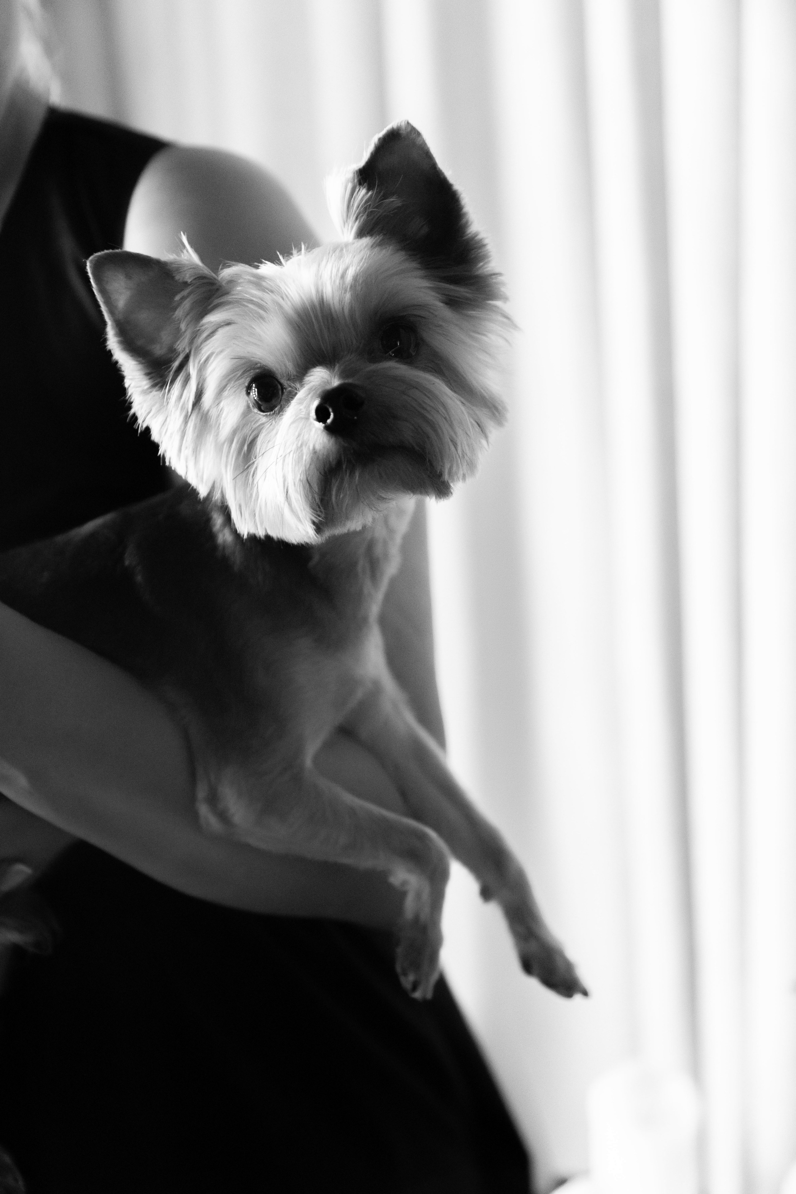 Константин и Дарья. Лада Канана Свадебный и семейный фотограф