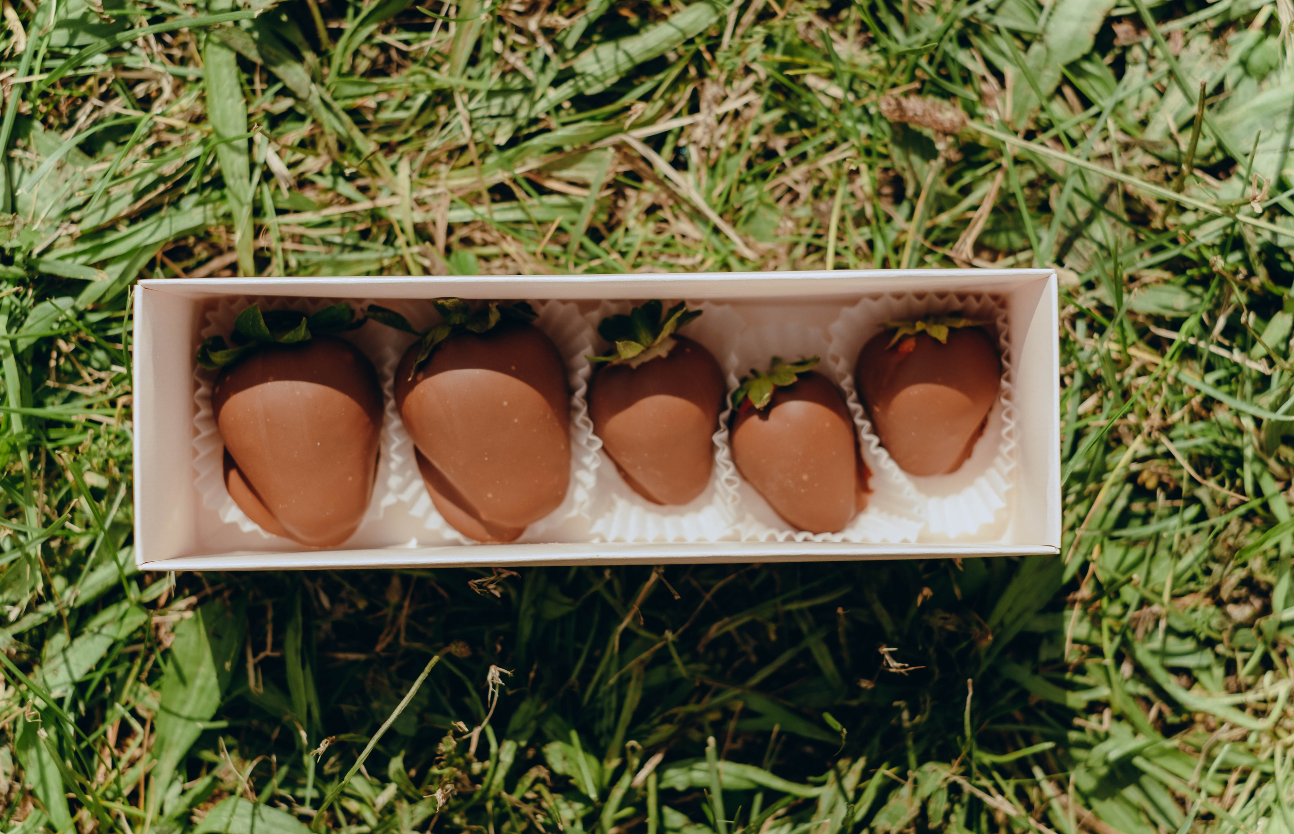 XI Международный день Йоги в Москве. Фотограф Аннё| Москва
