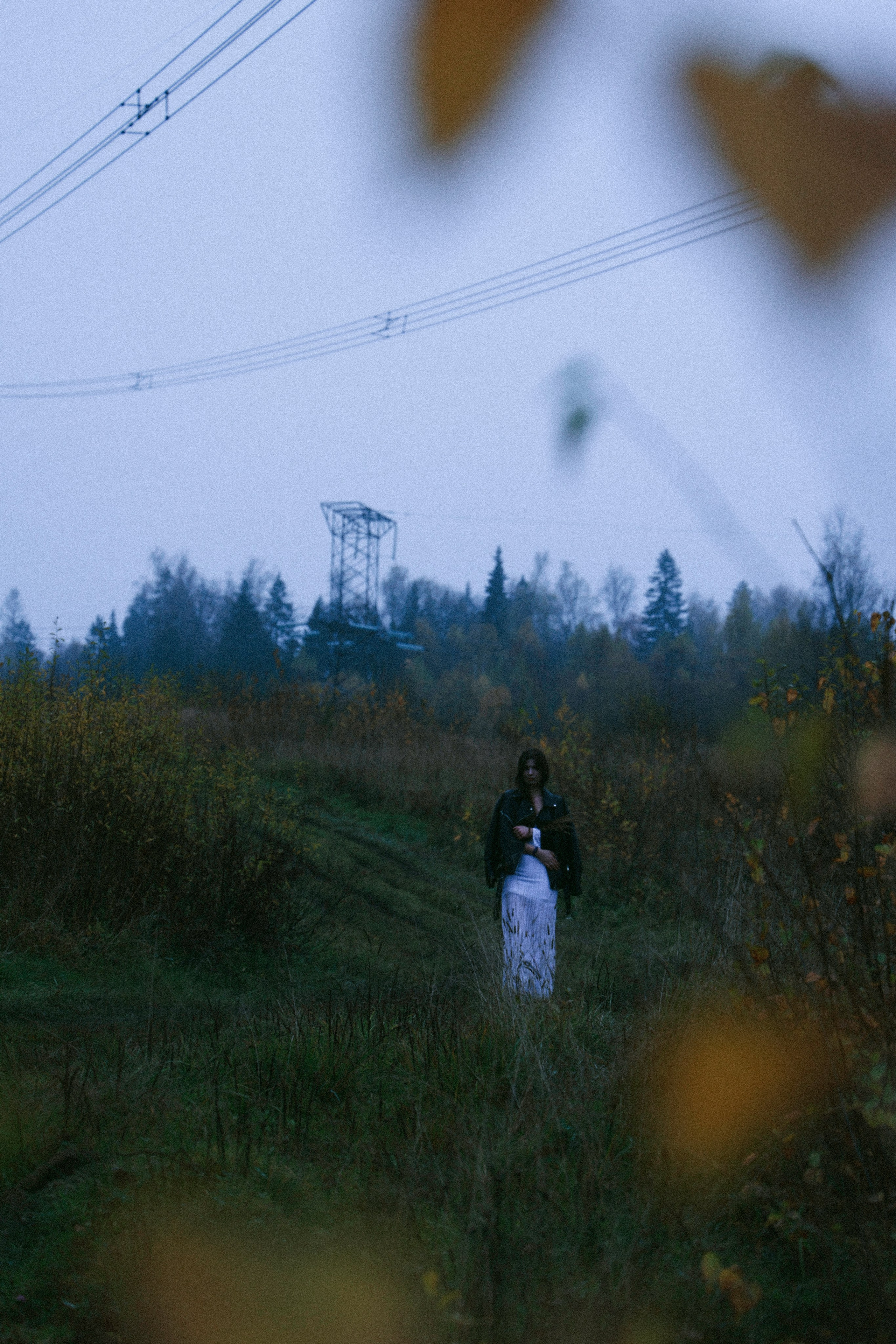 Сумерки. Елизавета Ковалевская — ваш профессиональный фотограф