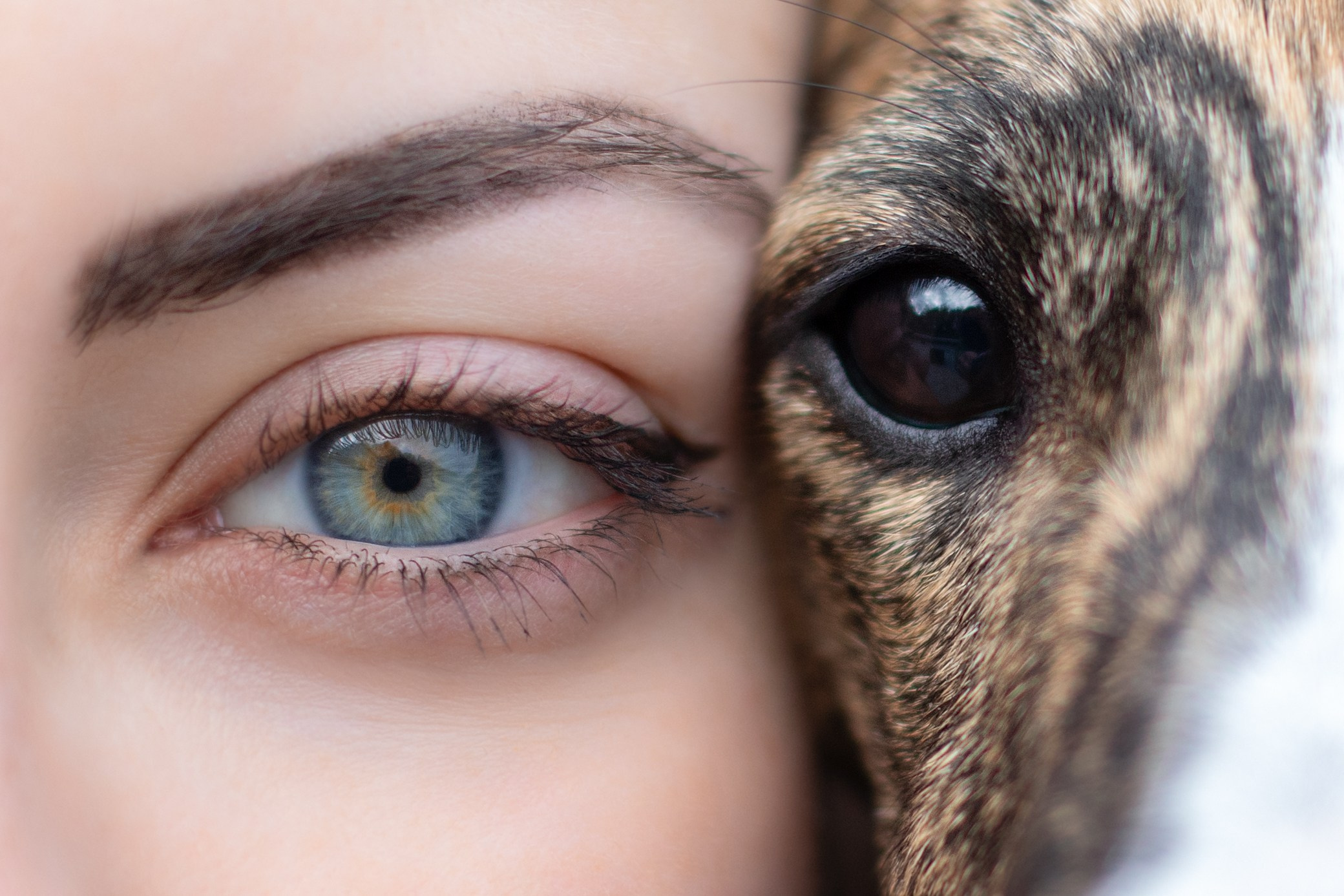 Фотограф-анималист в Москве и Московской области Татьяна Фролова