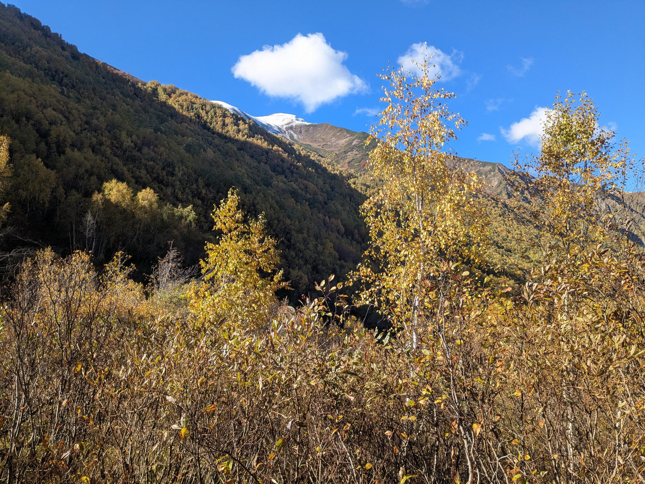 Adishi — Chkhunderi Pass — Khaldechala River Valley. Улицы Мира