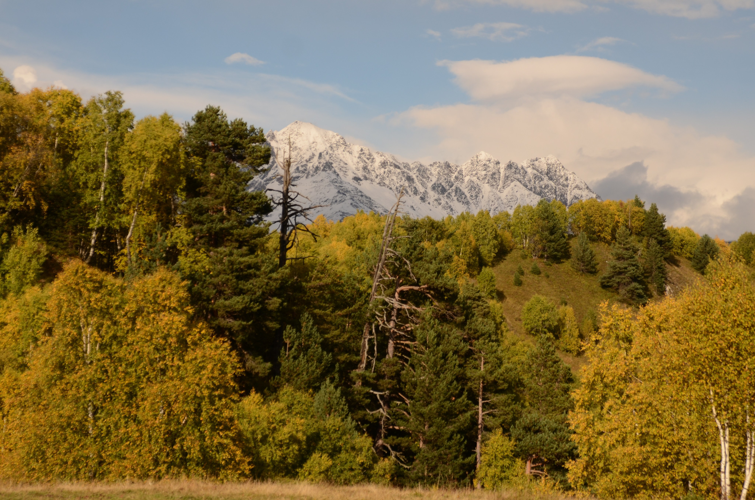 Adishi — Chkhunderi Pass — Khaldechala River Valley. Улицы Мира