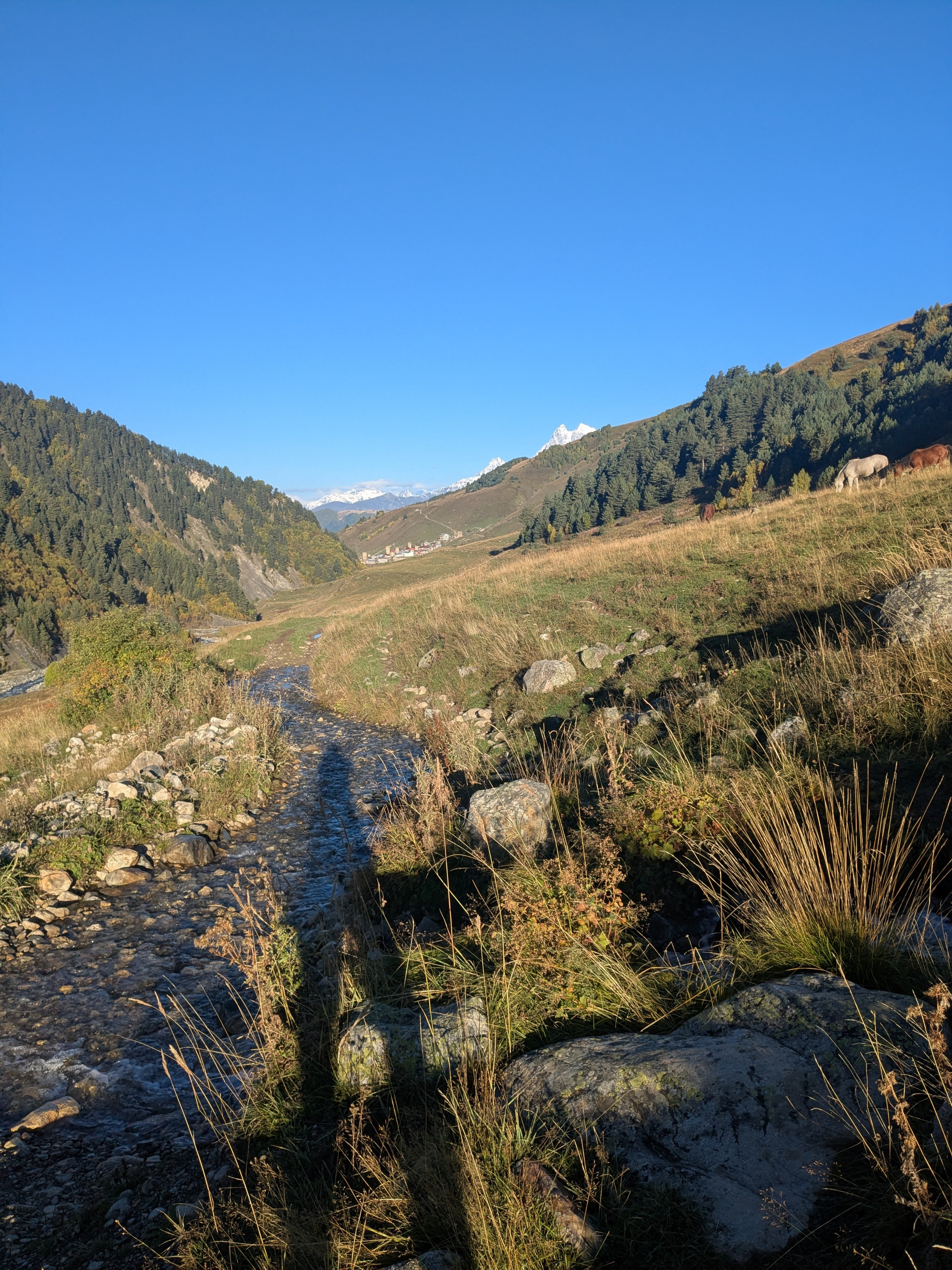 Adishi — Chkhunderi Pass — Khaldechala River Valley. Улицы Мира