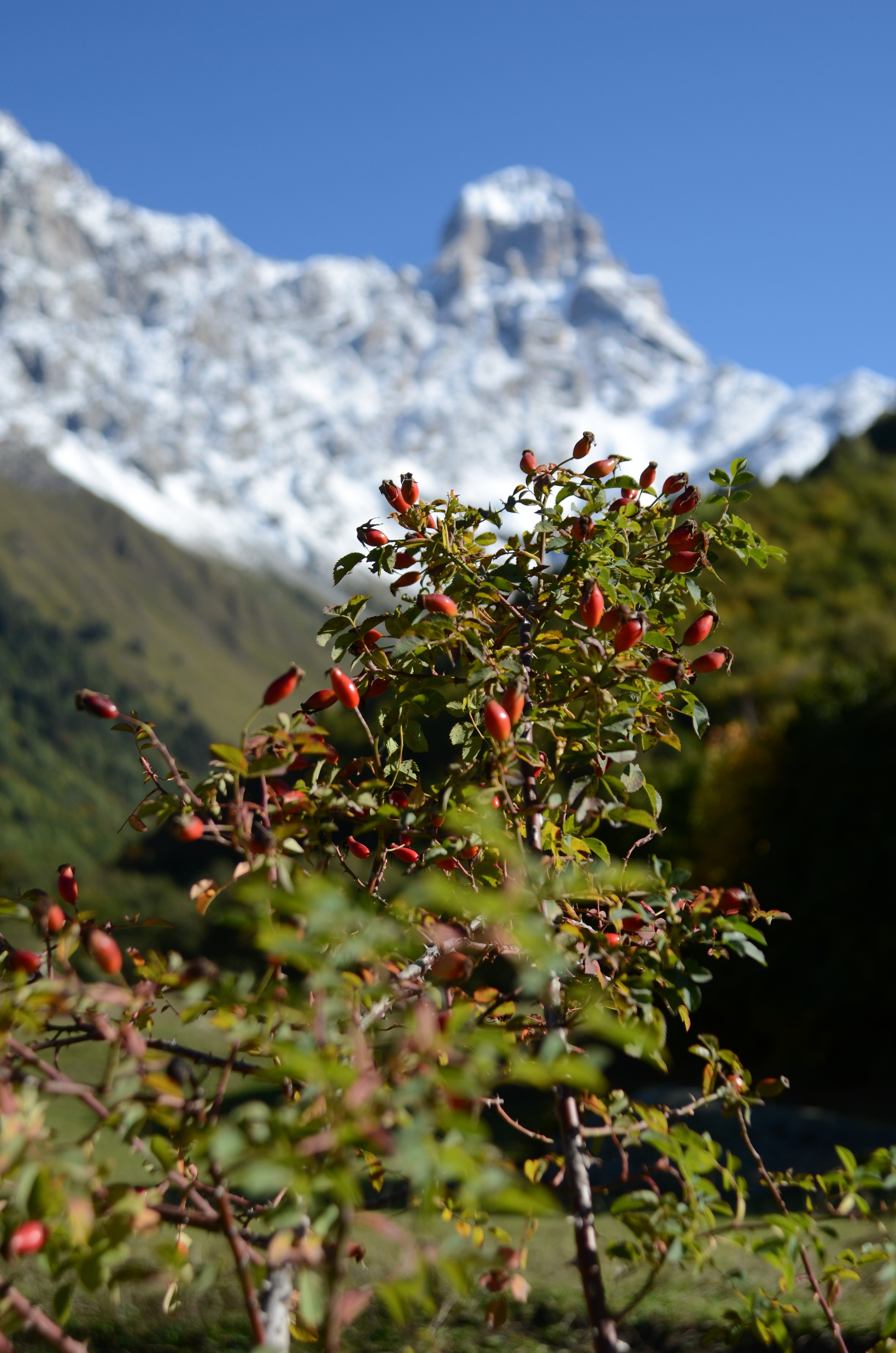 Mazeri — Zuruldi ridge — Tsvirmi. Улицы Мира