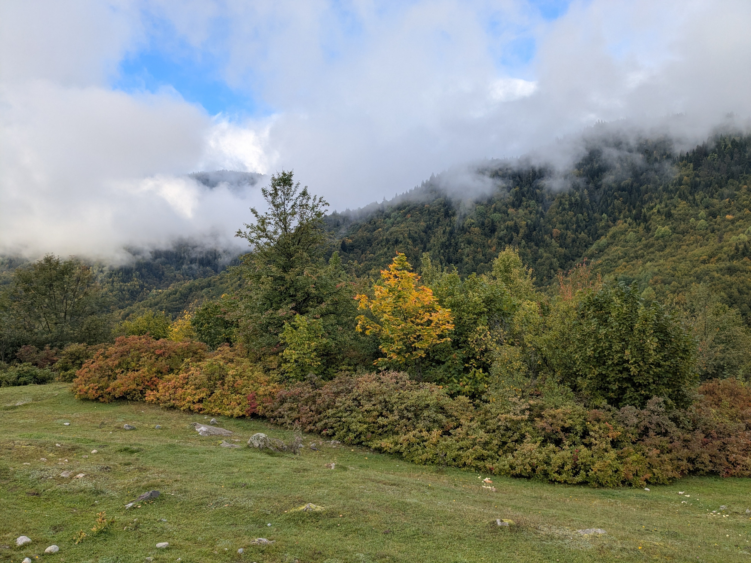 Mazeri To Ushba Glacier. Путешествия Олег Иванов