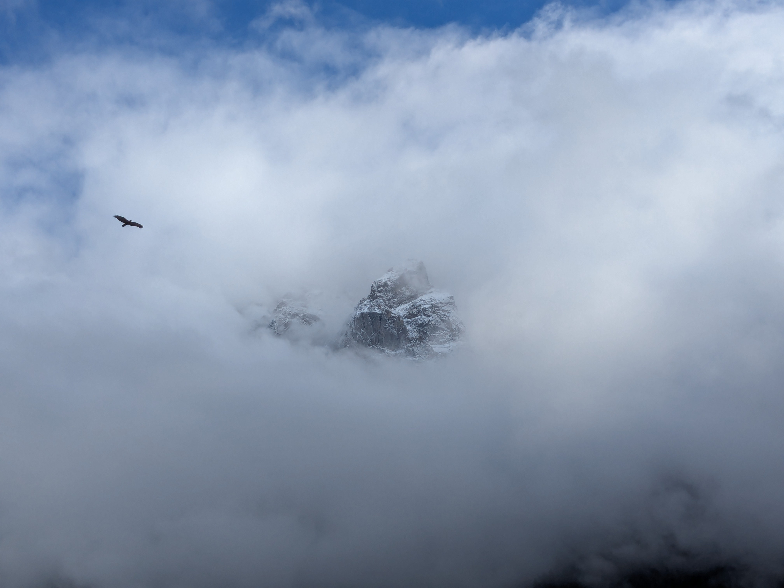 Mazeri To Ushba Glacier. Путешествия Олег Иванов
