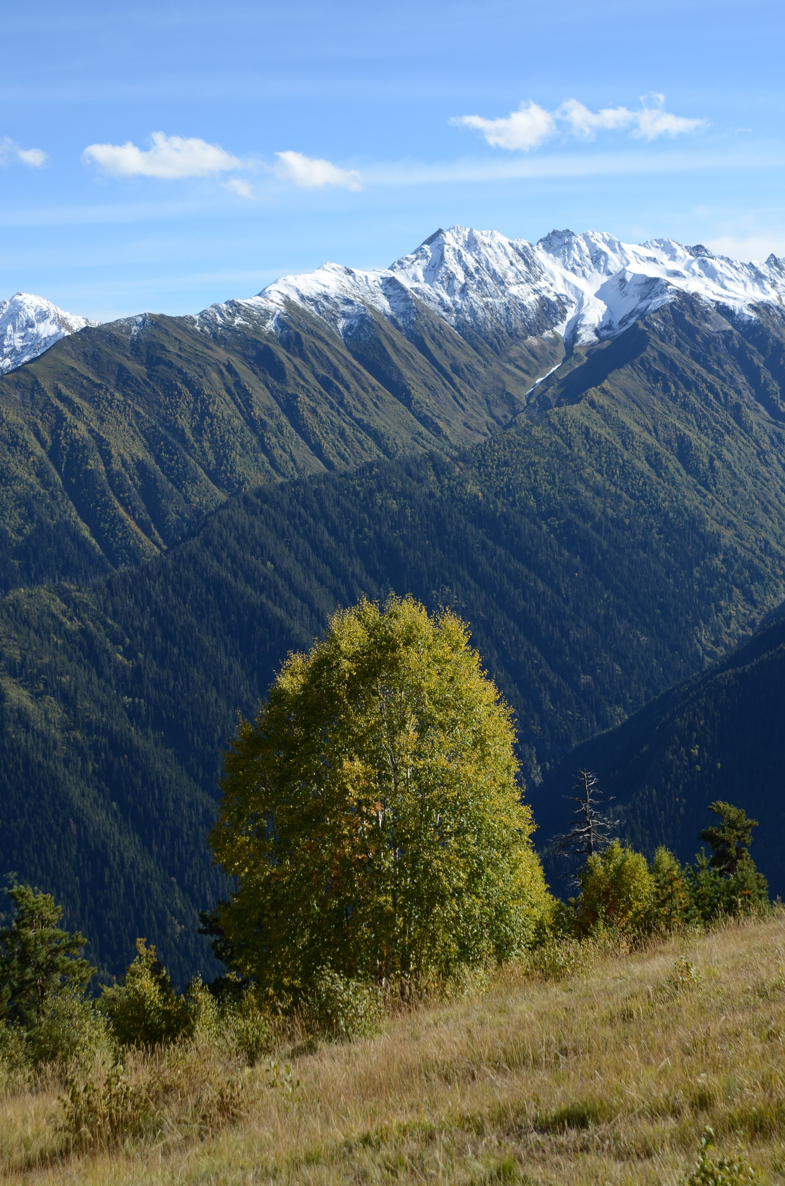 Mazeri — Zuruldi ridge — Tsvirmi. Улицы Мира