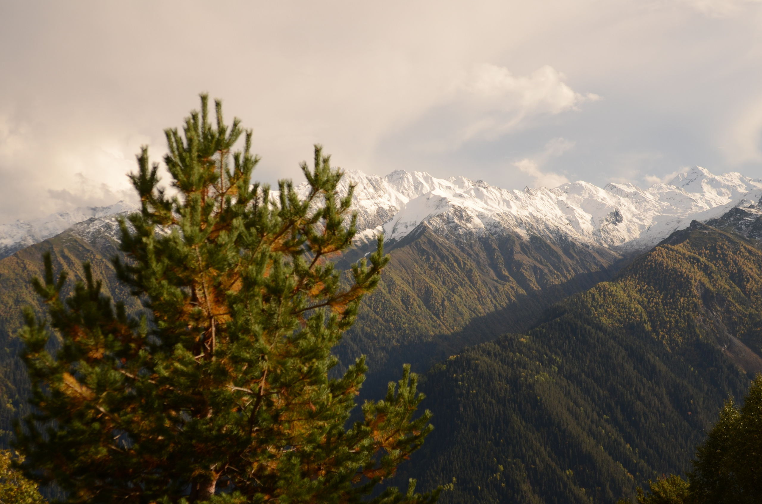 Adishi — Chkhunderi Pass — Khaldechala River Valley. Улицы Мира