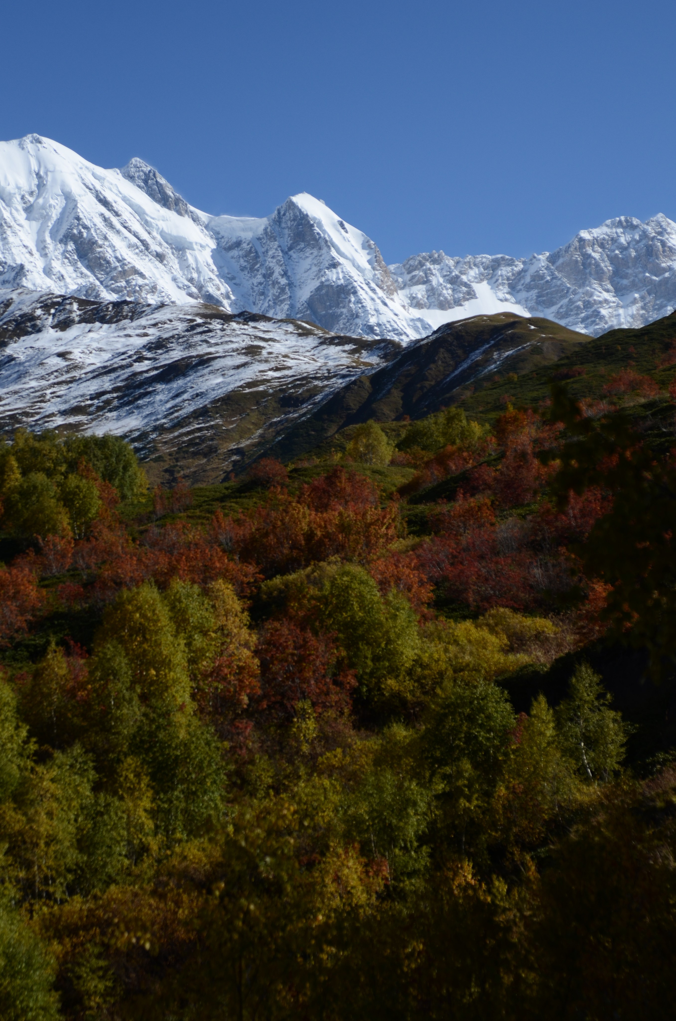 Adishi — Chkhunderi Pass — Khaldechala River Valley. Улицы Мира