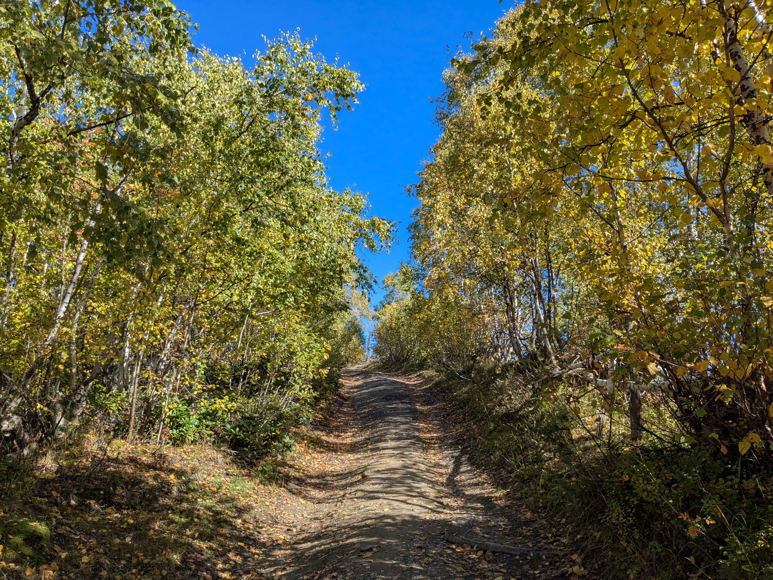 Mazeri — Zuruldi ridge — Tsvirmi. Улицы Мира
