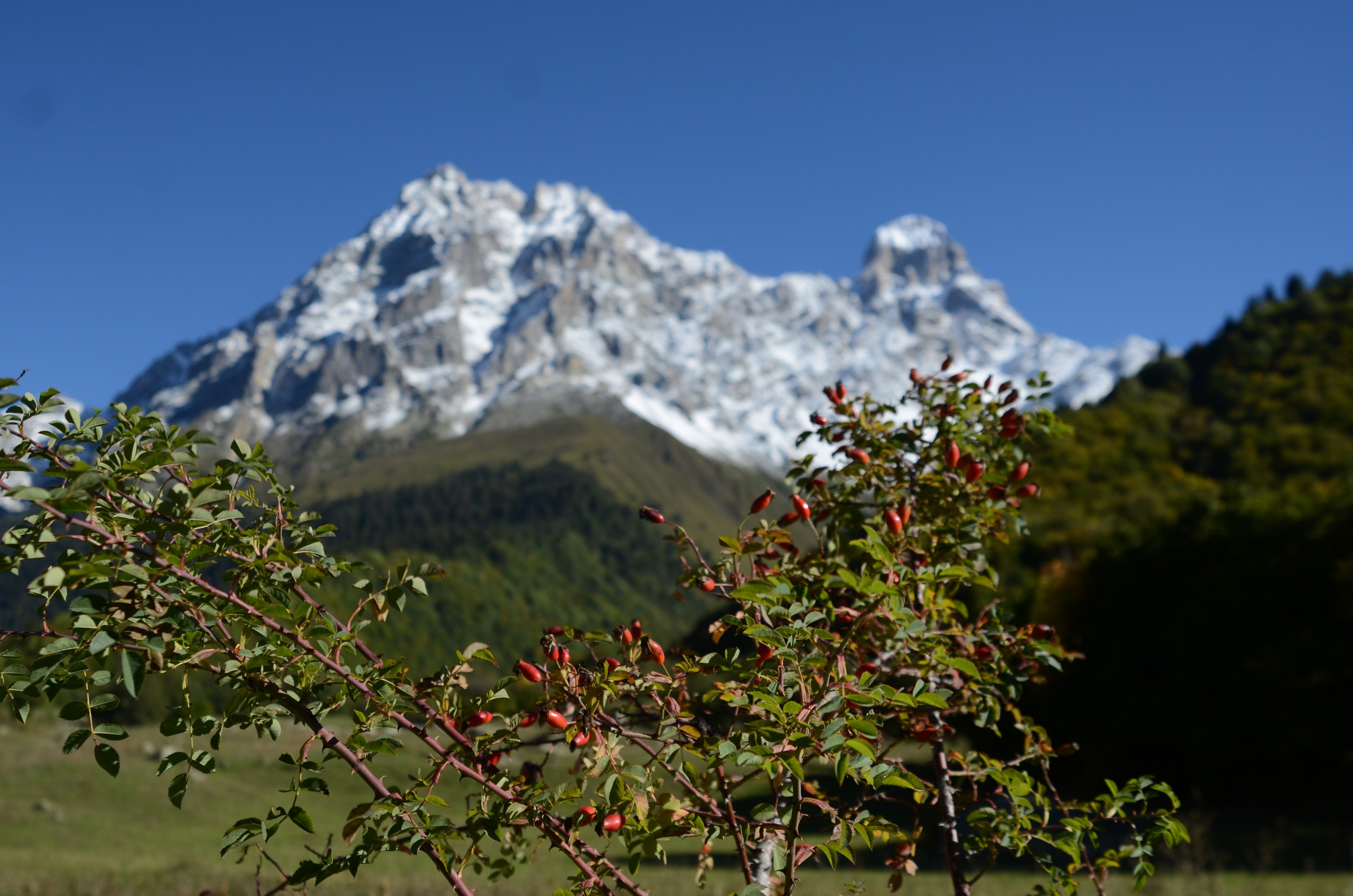 Mazeri — Zuruldi ridge — Tsvirmi. Улицы Мира