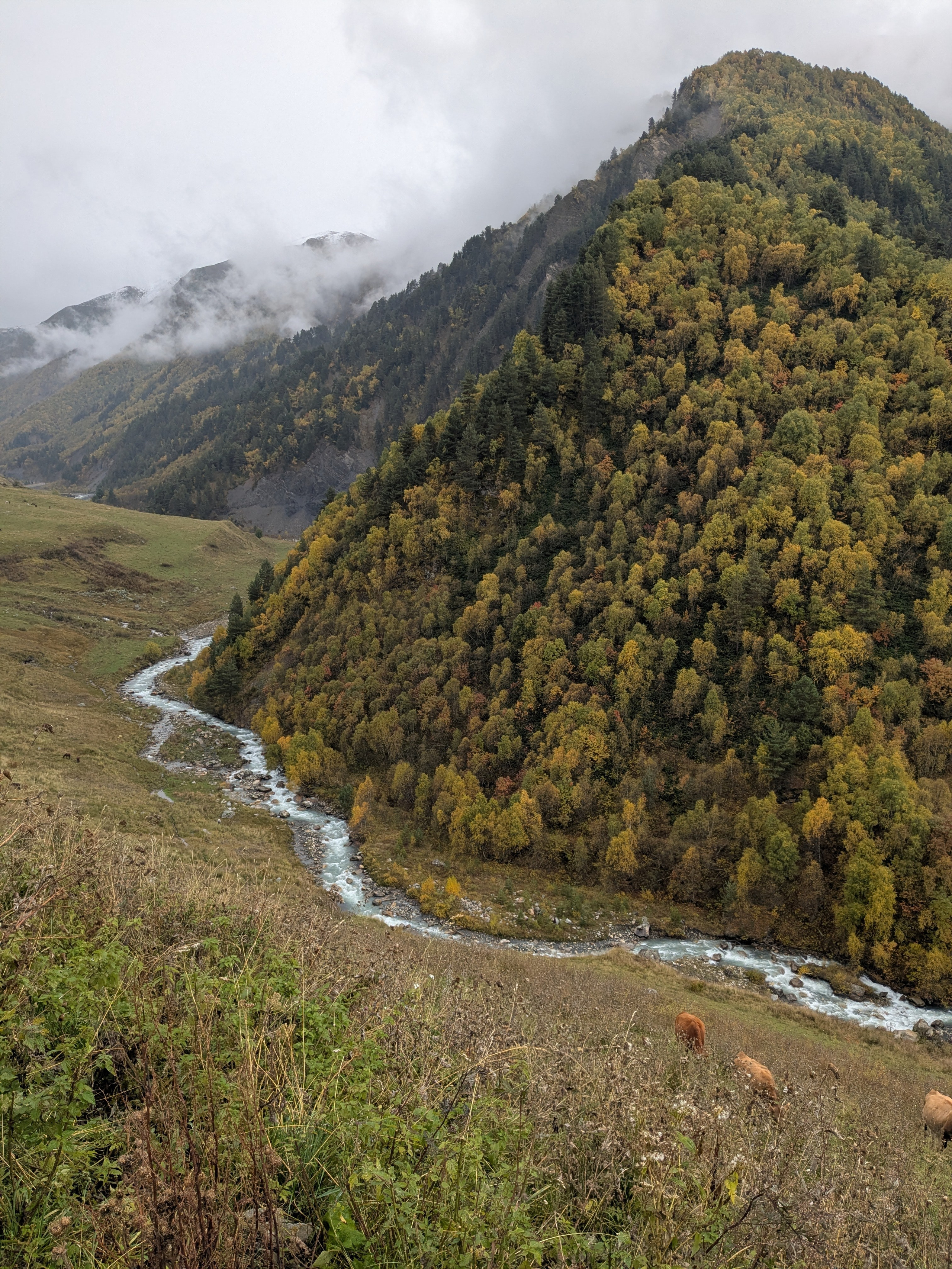 Tsvirmi — Adishi. Улицы Мира