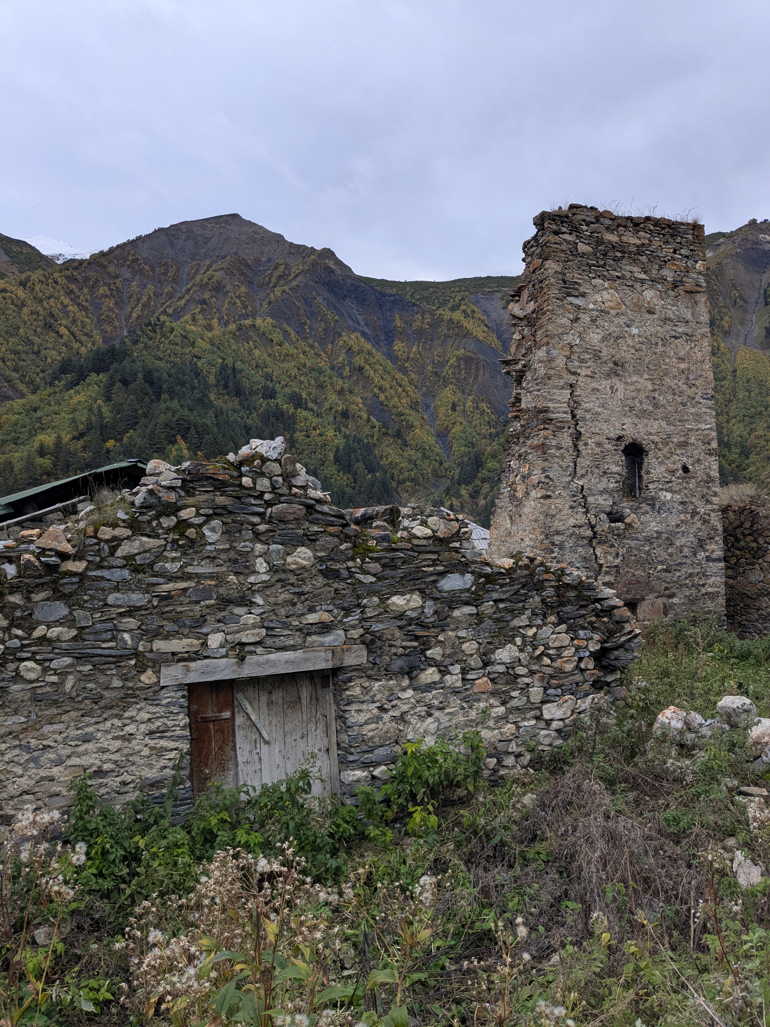 Tsvirmi — Adishi. Улицы Мира