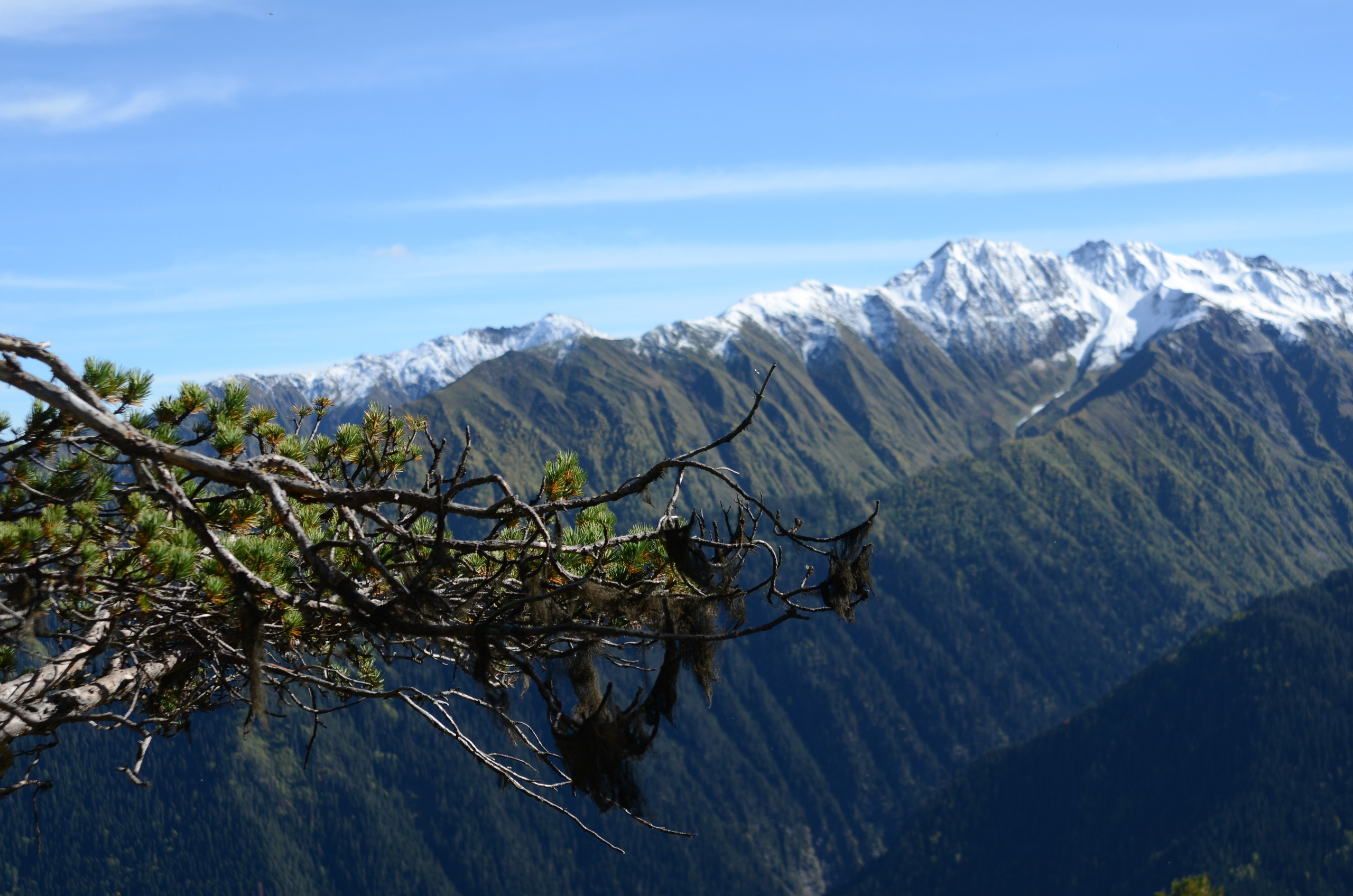 Mazeri — Zuruldi ridge — Tsvirmi. Улицы Мира