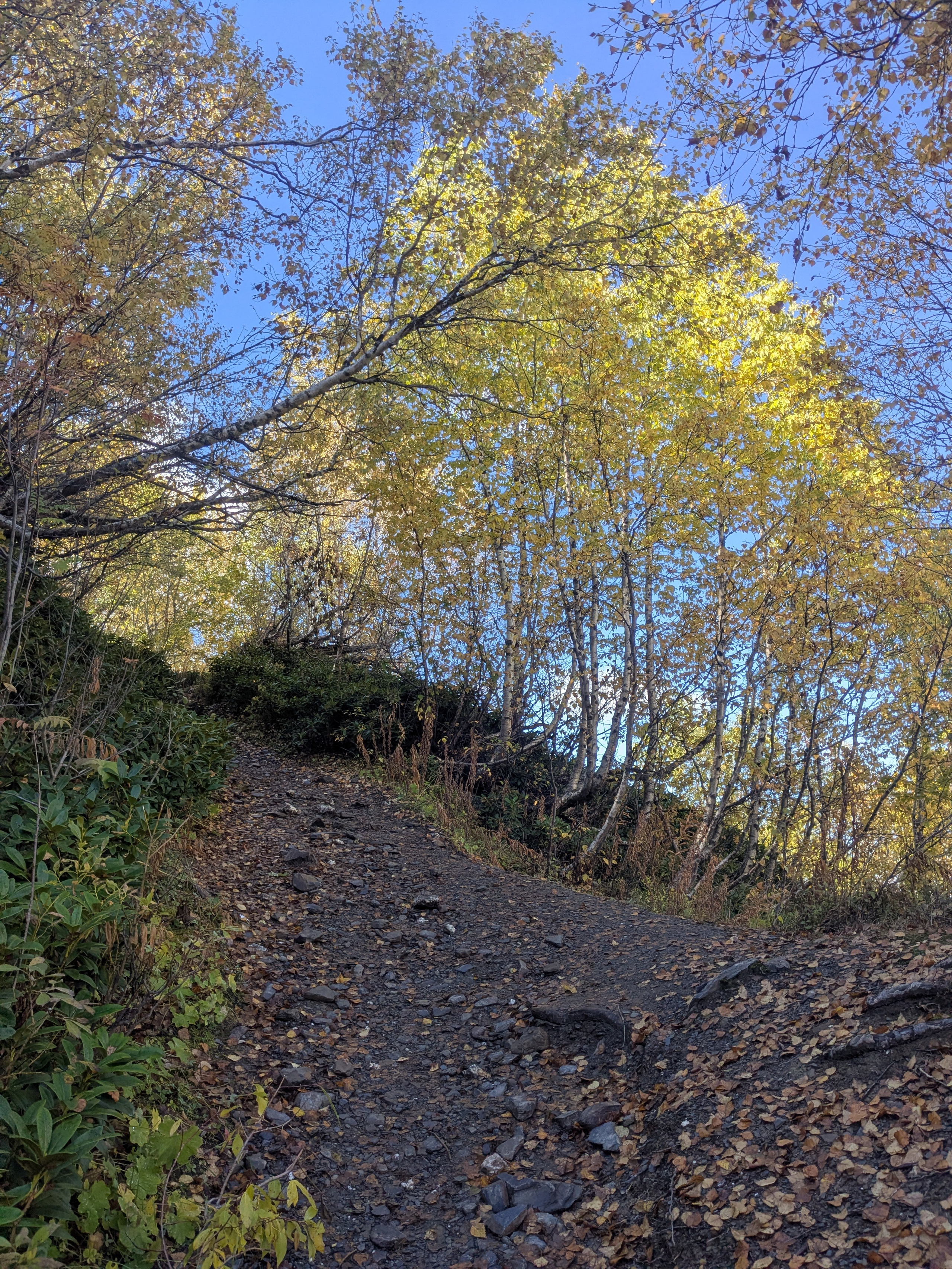 Adishi — Chkhunderi Pass — Khaldechala River Valley. Улицы Мира