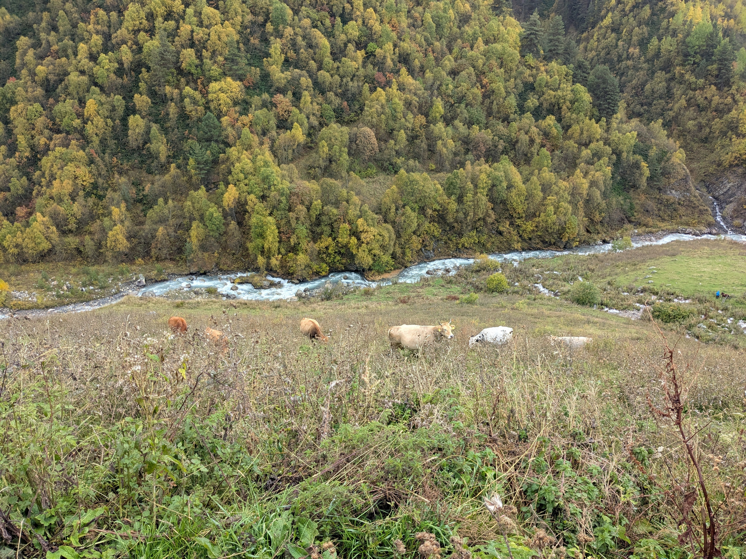 Tsvirmi — Adishi. Улицы Мира