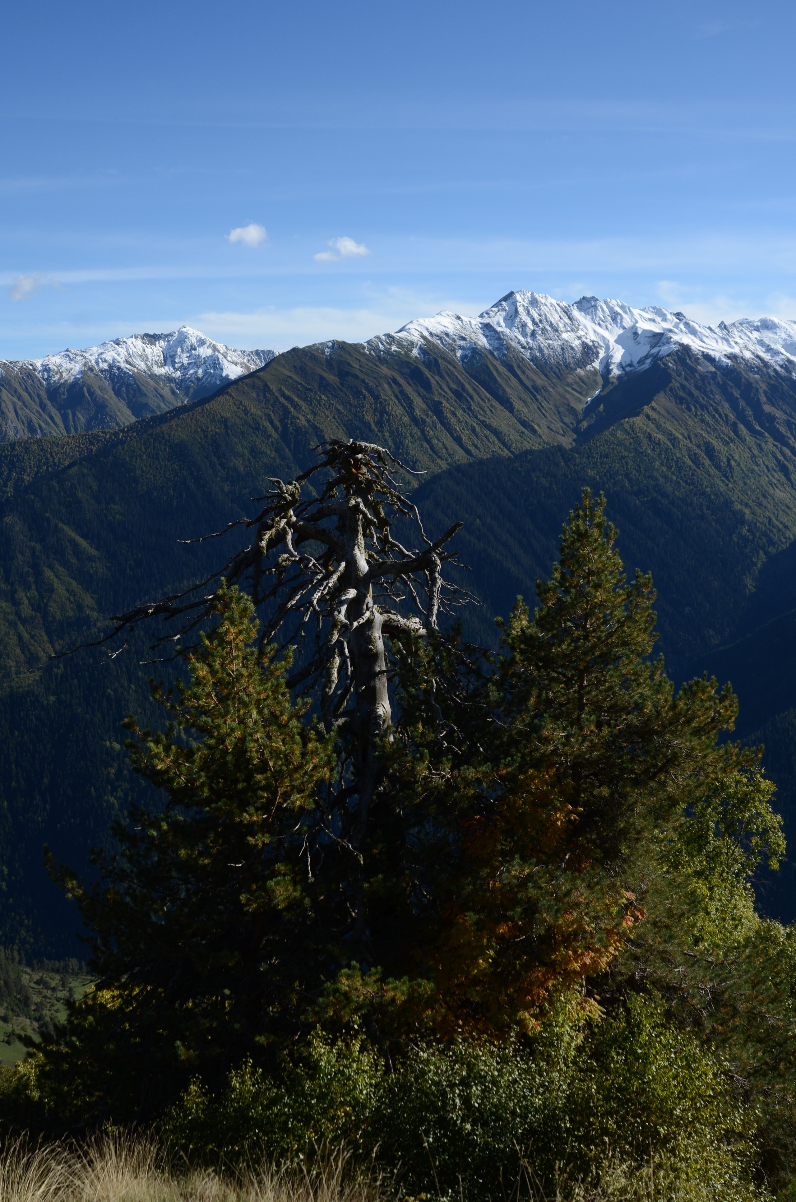 Mazeri — Zuruldi ridge — Tsvirmi. Улицы Мира
