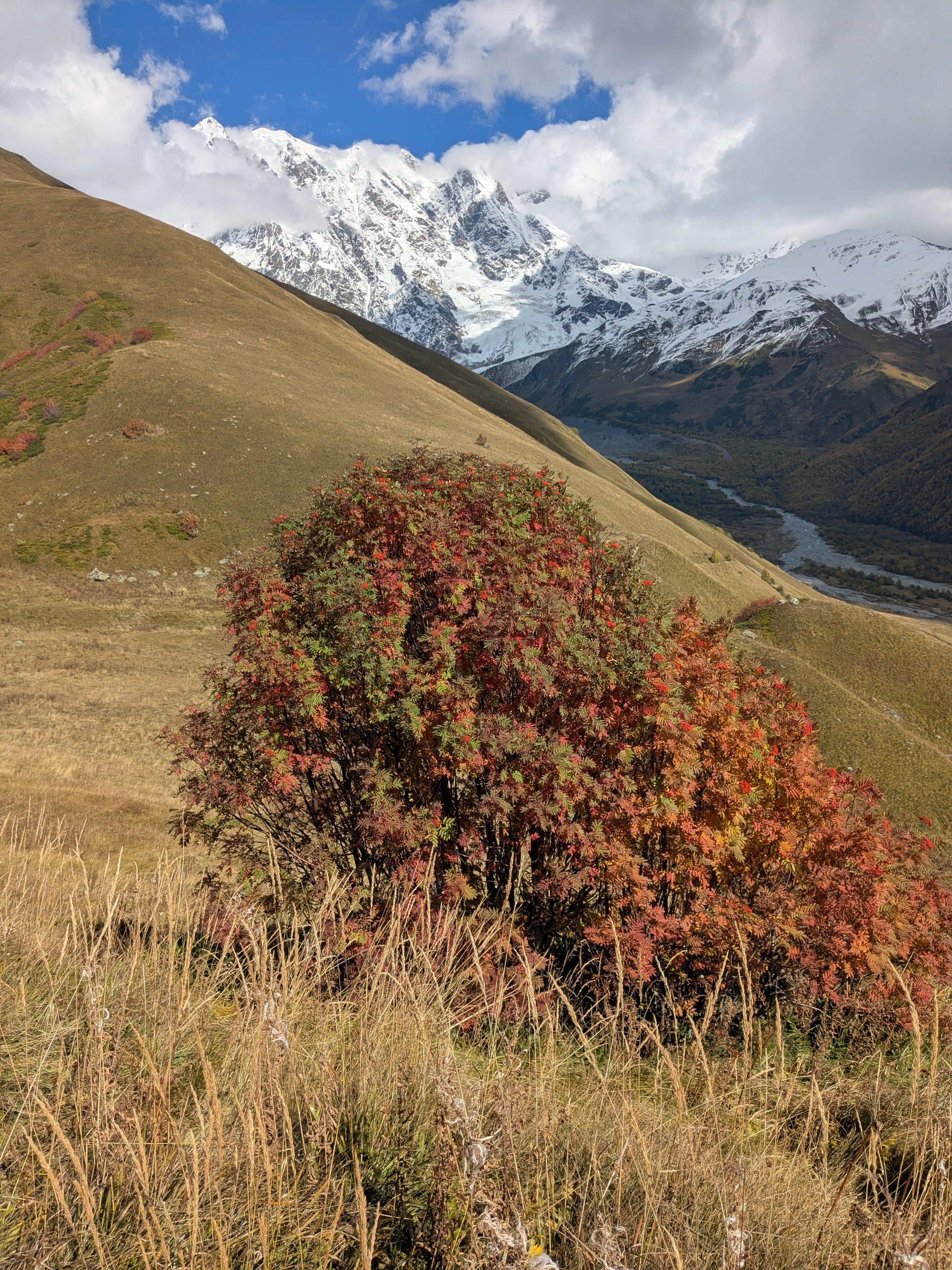 Adishi — Chkhunderi Pass — Khaldechala River Valley. Улицы Мира