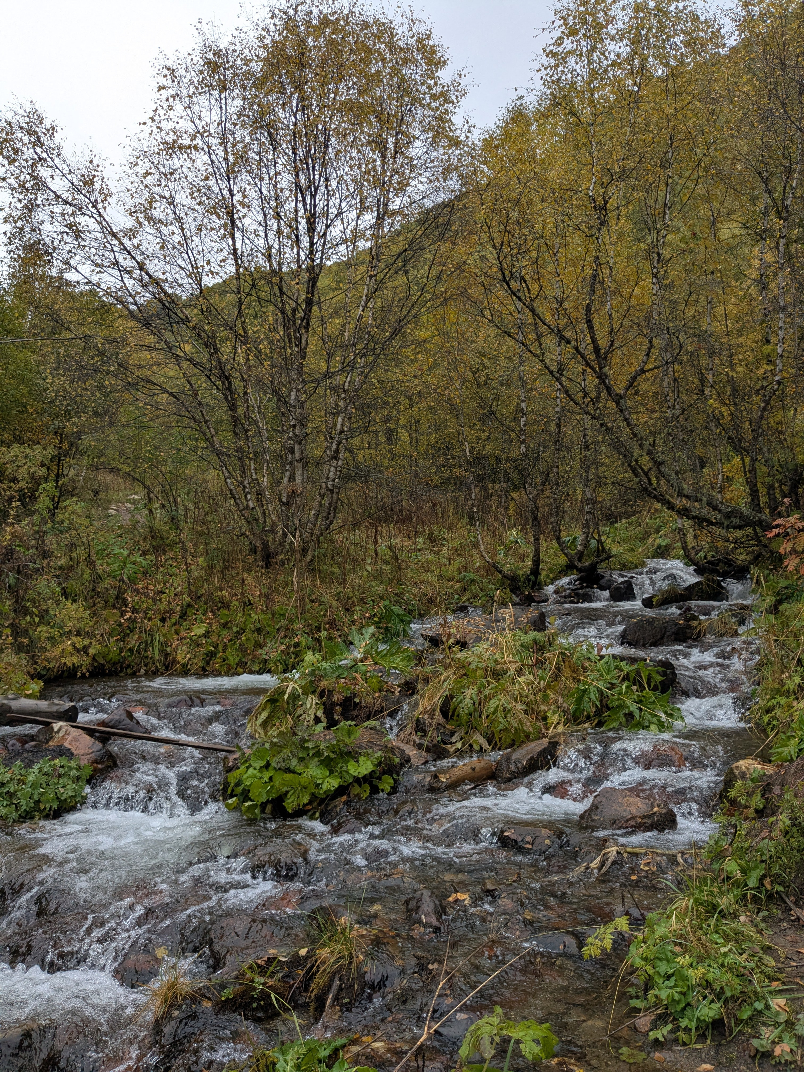 Tsvirmi — Adishi. Улицы Мира