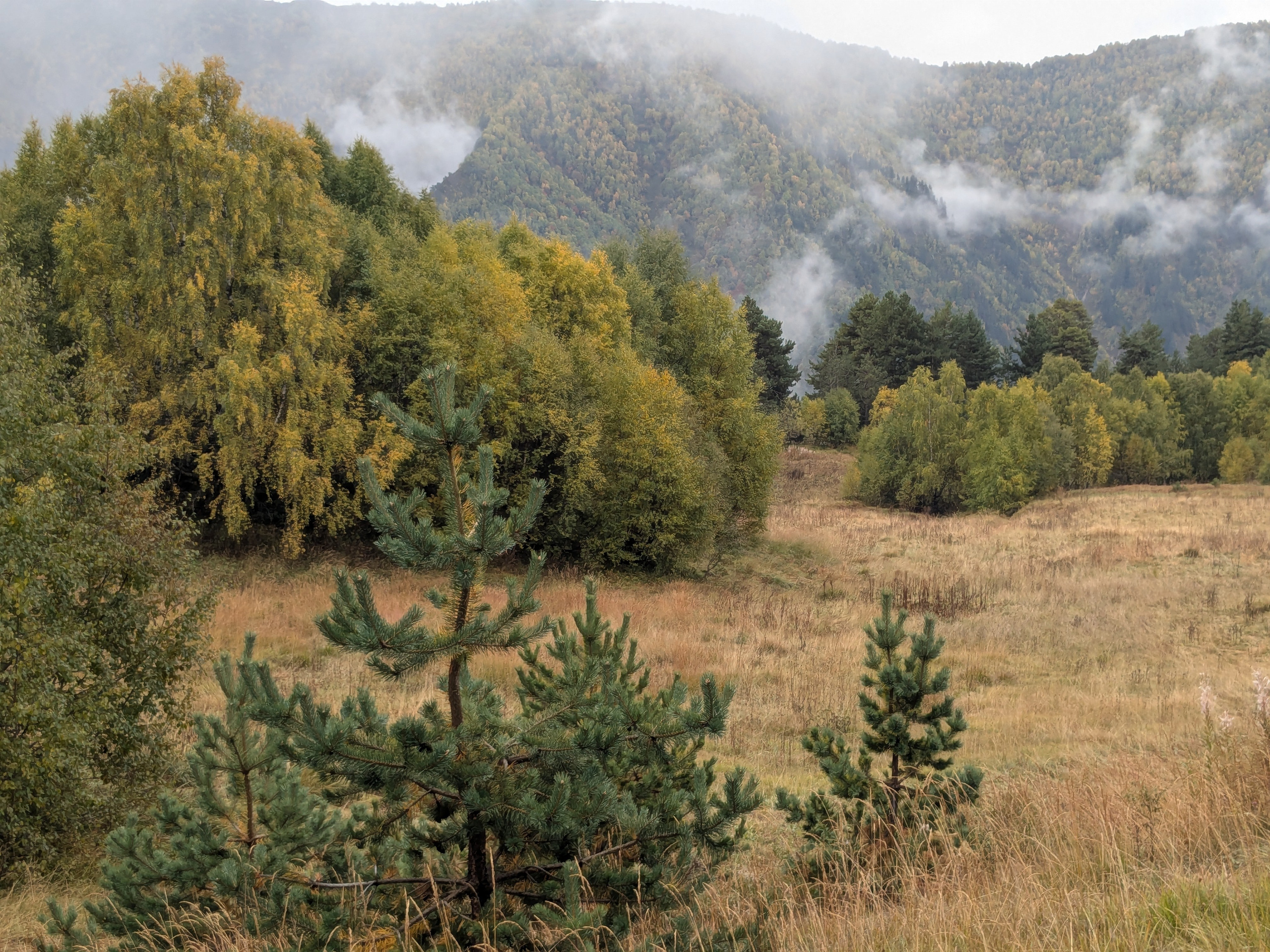 Tsvirmi — Adishi. Улицы Мира