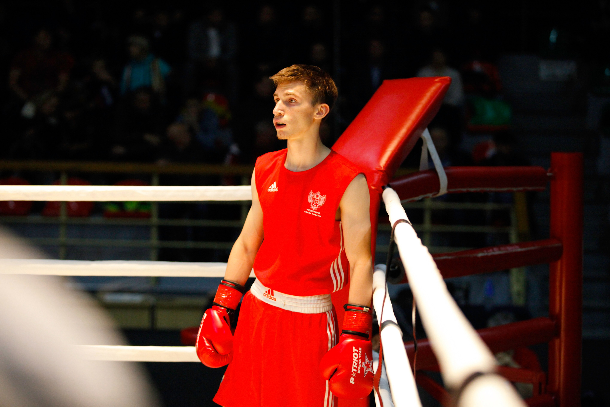 БОКС. Фото. Спортивный фотограф, трансляция, звук и свет в Новосибирске