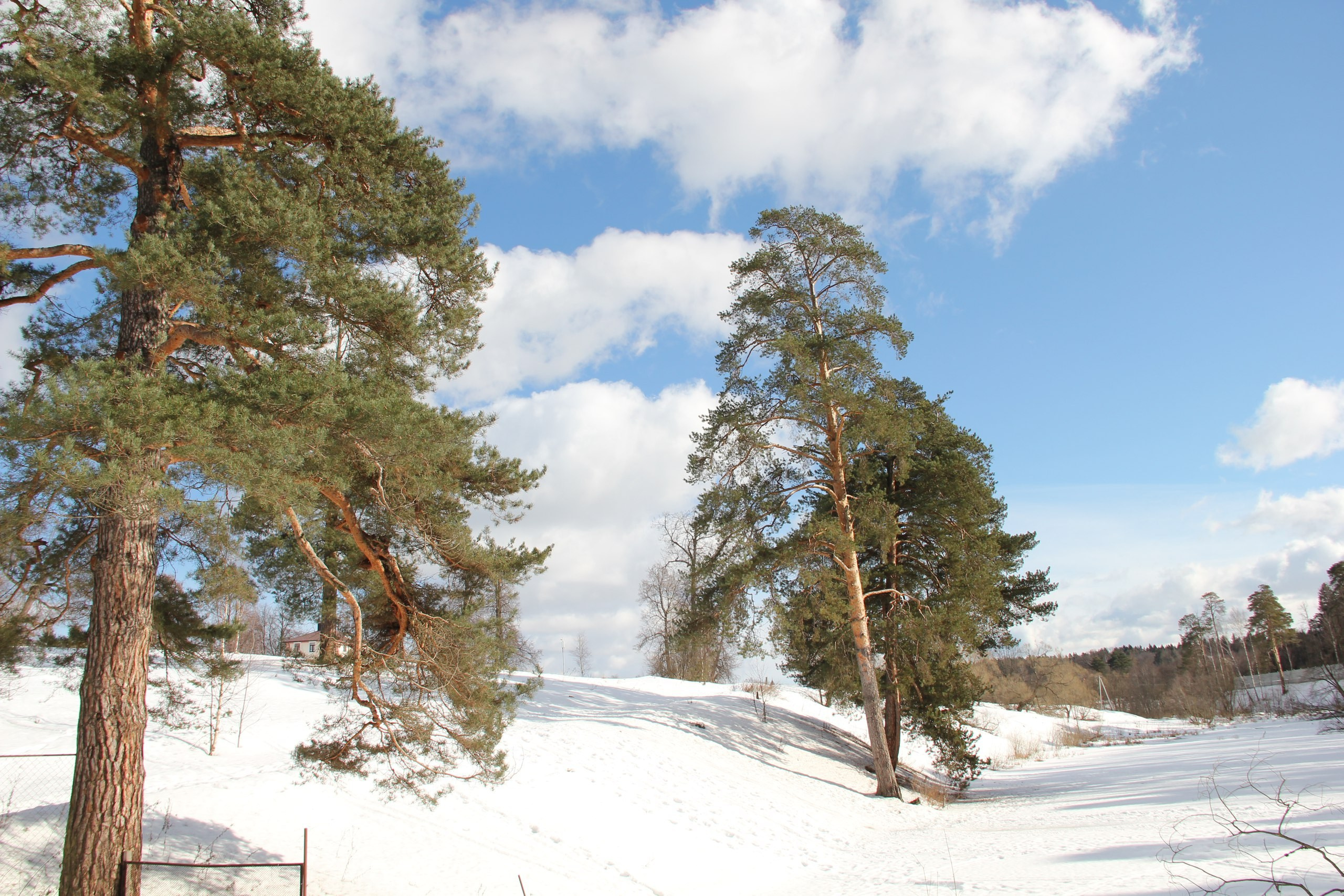 Пейнтбольная битва | 25.02.2017. Галерея Фантим