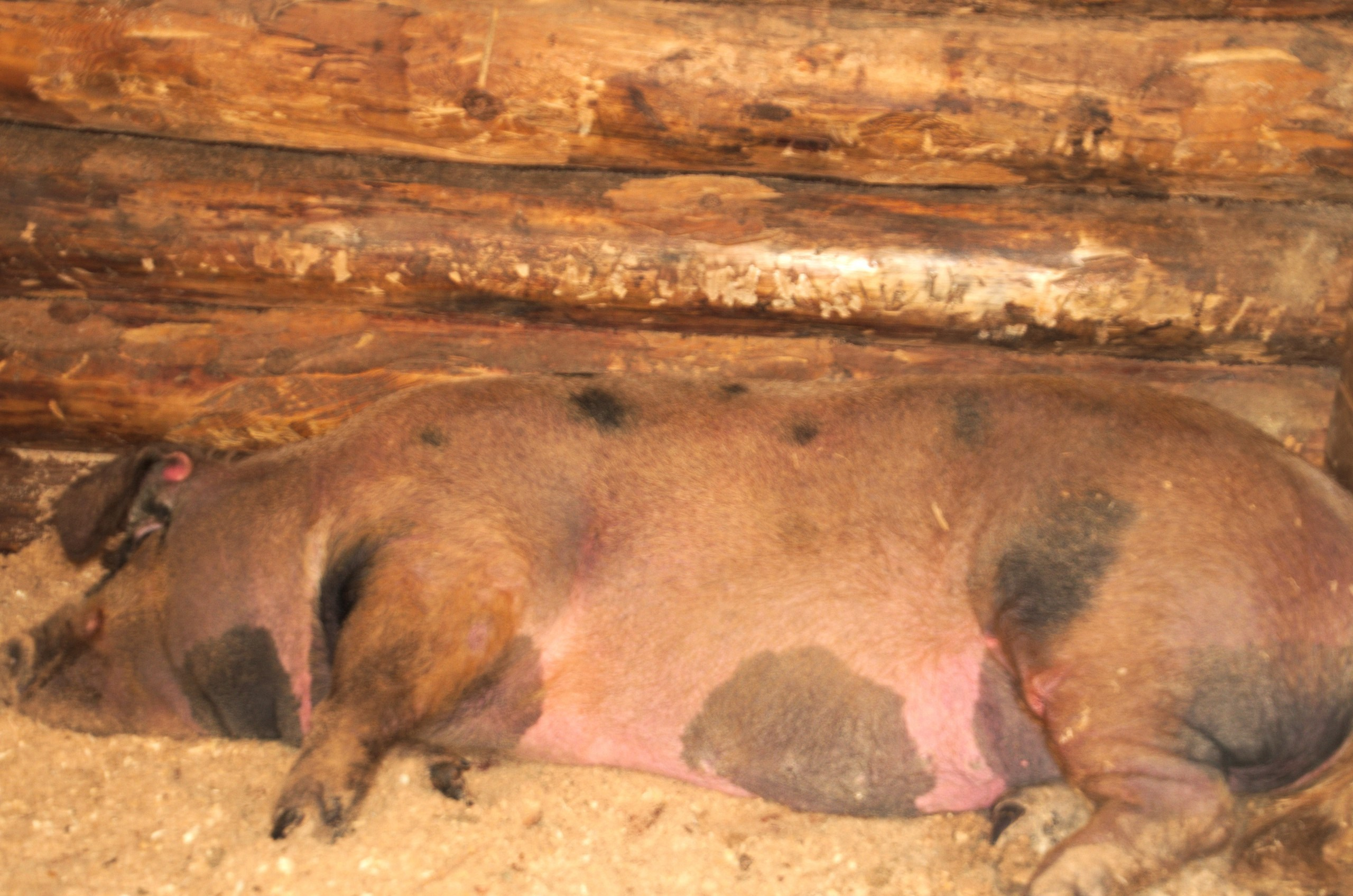 Владимир+Суздаль | 18-19.02.2017. Галерея Фантим