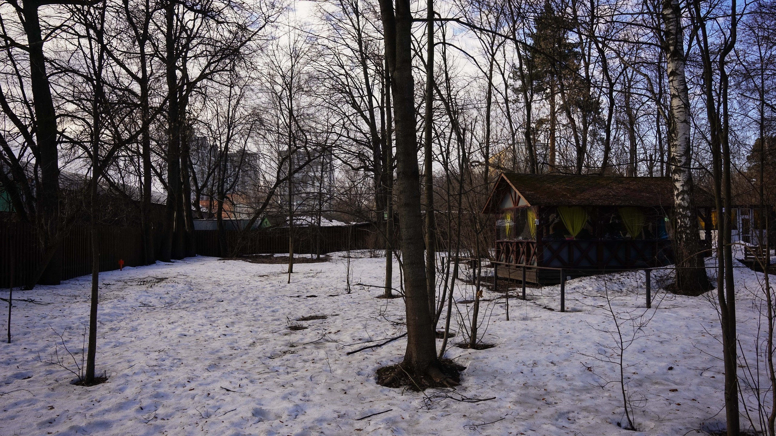 Шашлыки | 30.03.2024. Галерея Фантим