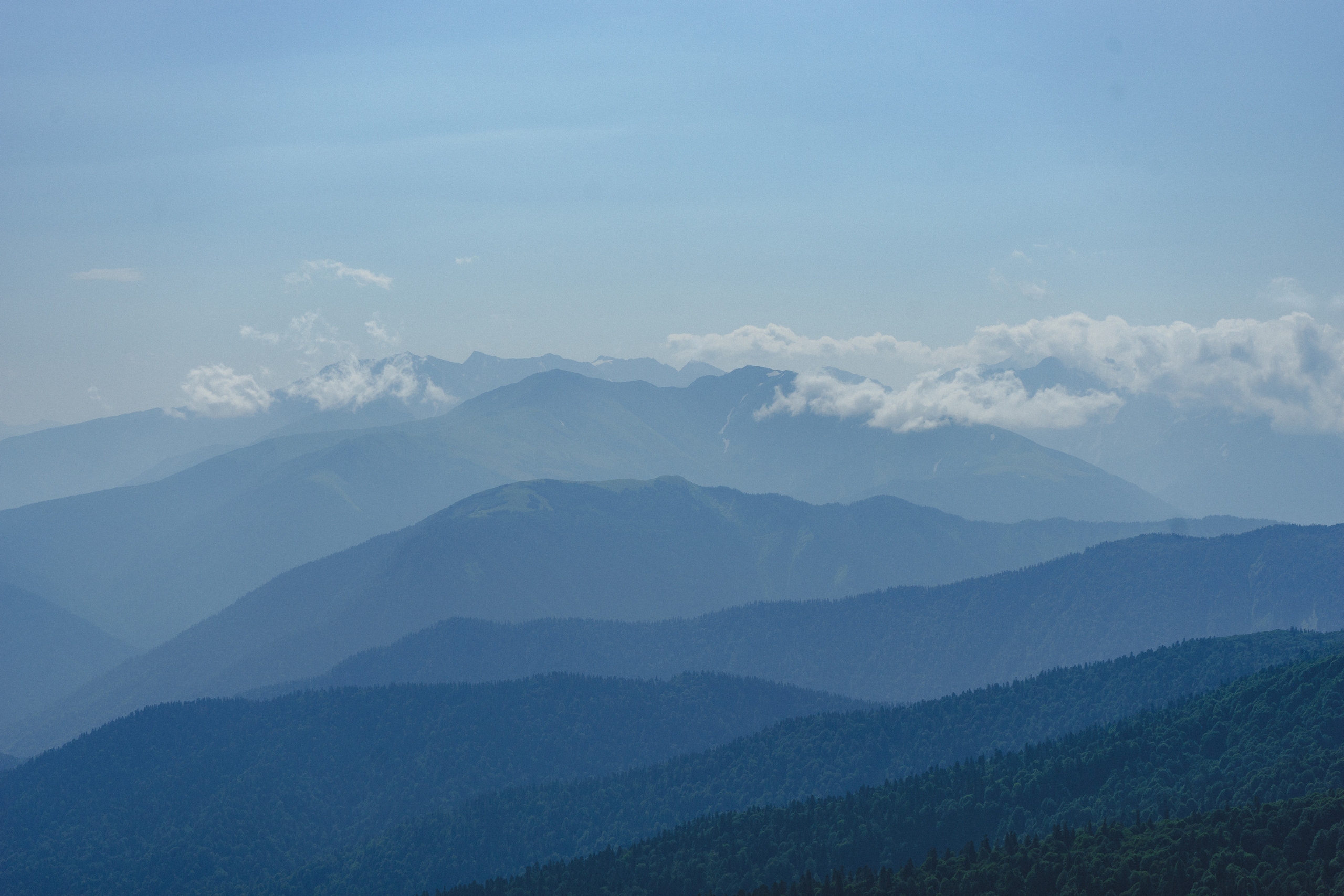 Отзывы. Фотограф в детский сад в Екатеринбурге, выпускные альбомы Юлия Умерова