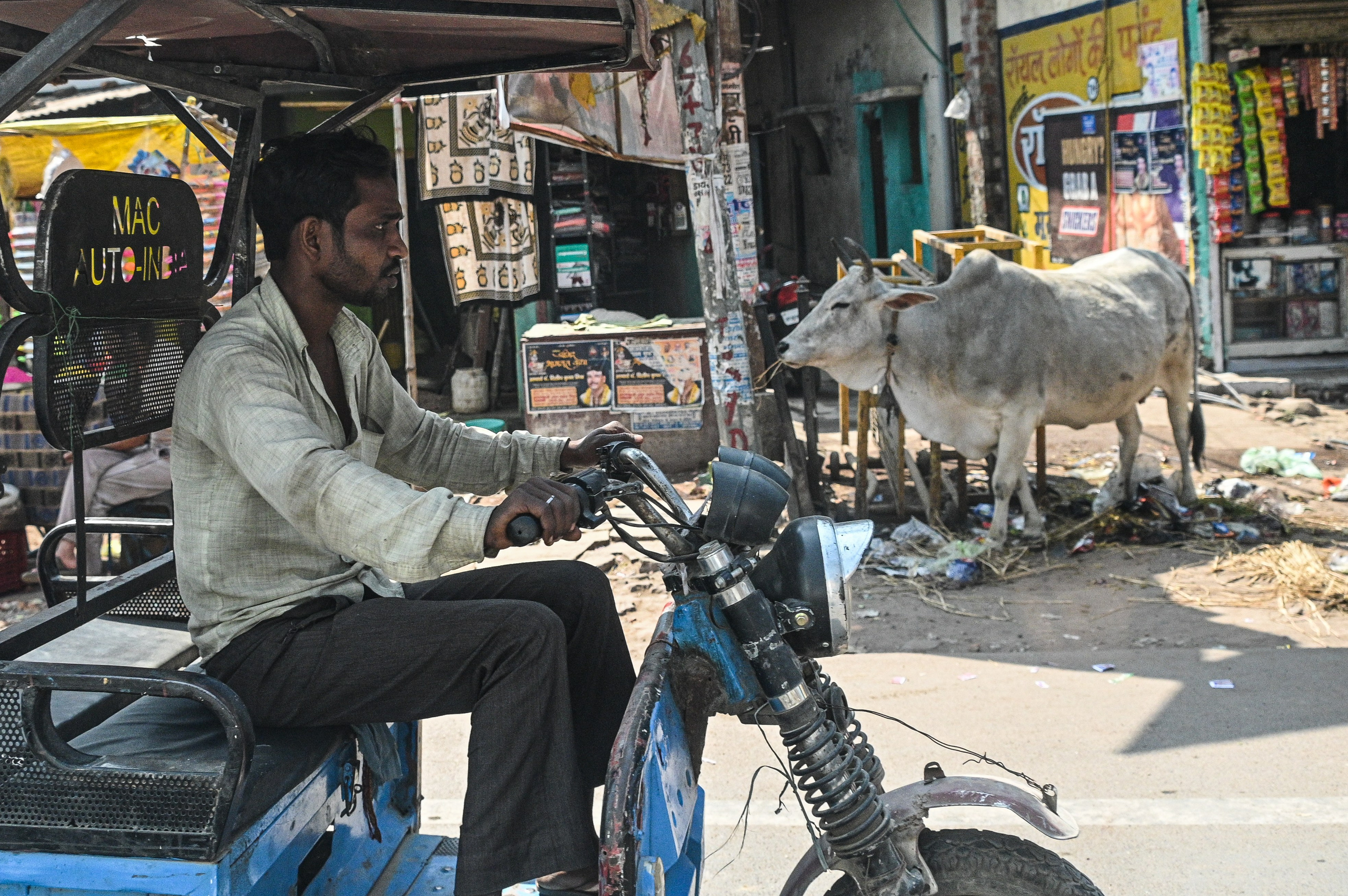 Невероятная Индия. Игорь Иванко — Репортажный и событийный фотограф. Москва