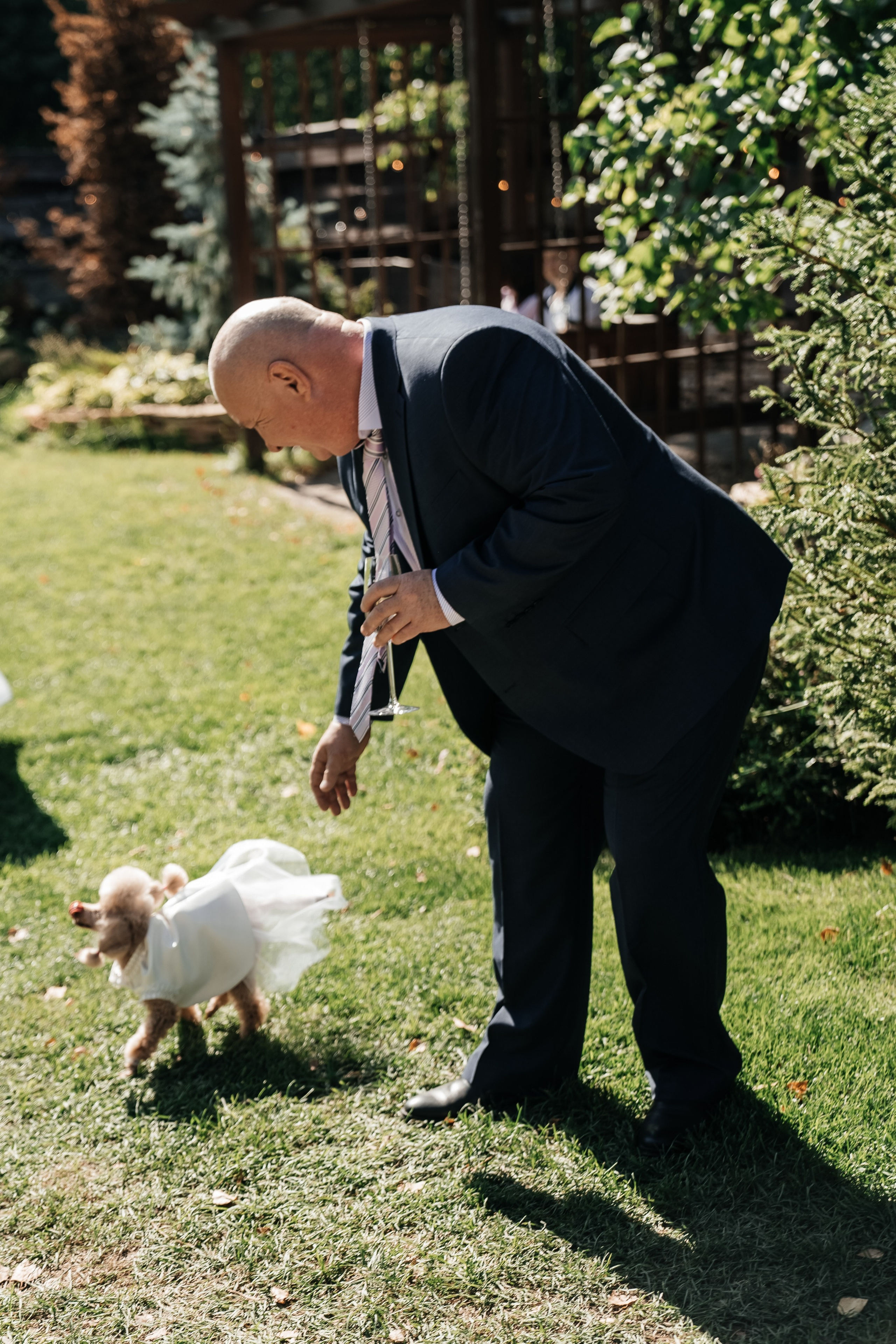 Антон и Евгения. Свадебный и семейный фотограф В Барнауле Нечаева Таня