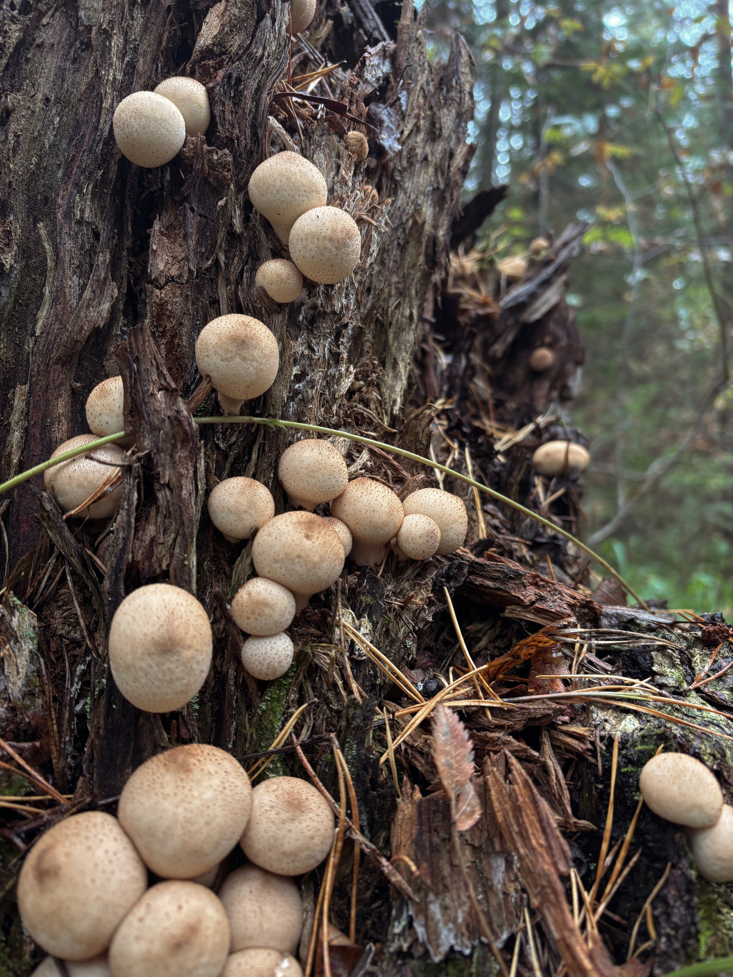 Фото с походов на Айгир — Время приключений