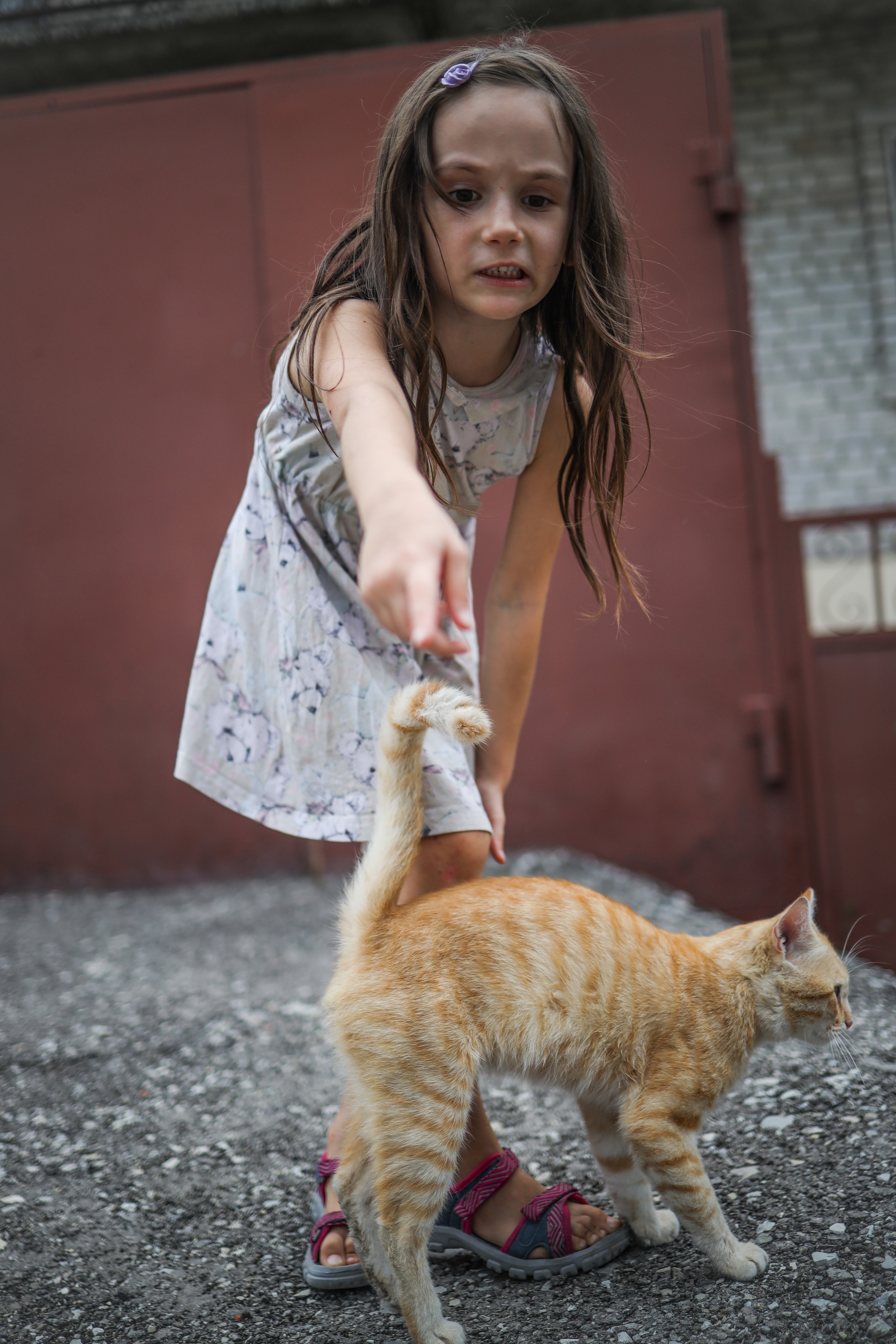 История про Василису и кису. Фотограф Юля Постнова